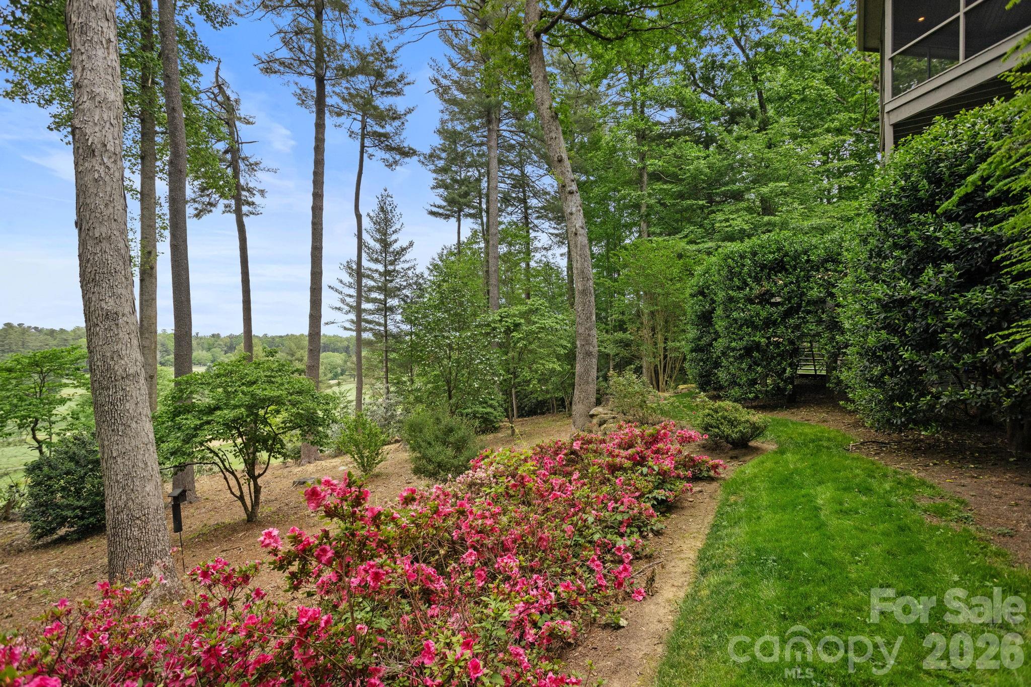 209 Pineholt Lane — Flat Rock