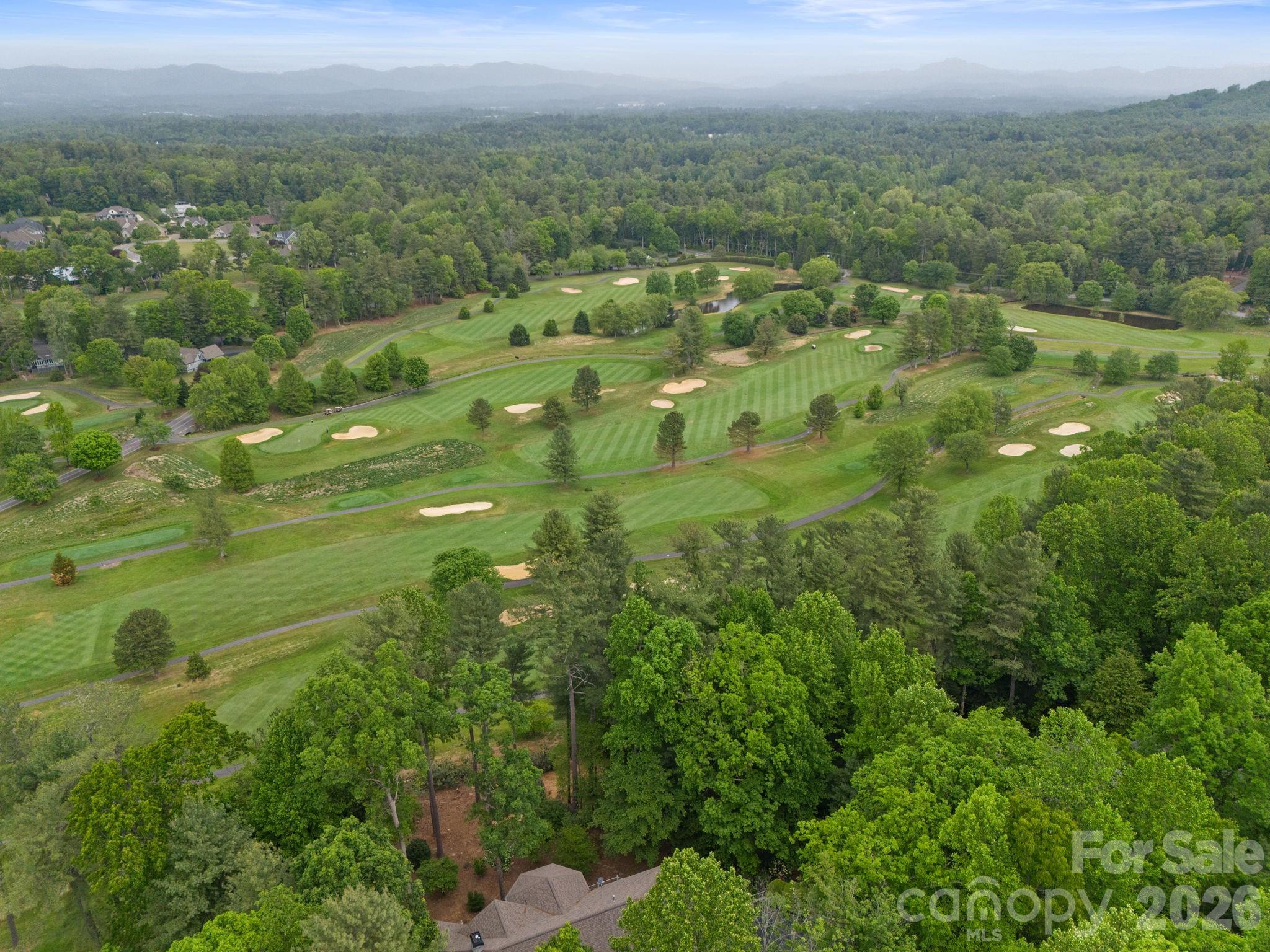209 Pineholt Lane — Flat Rock