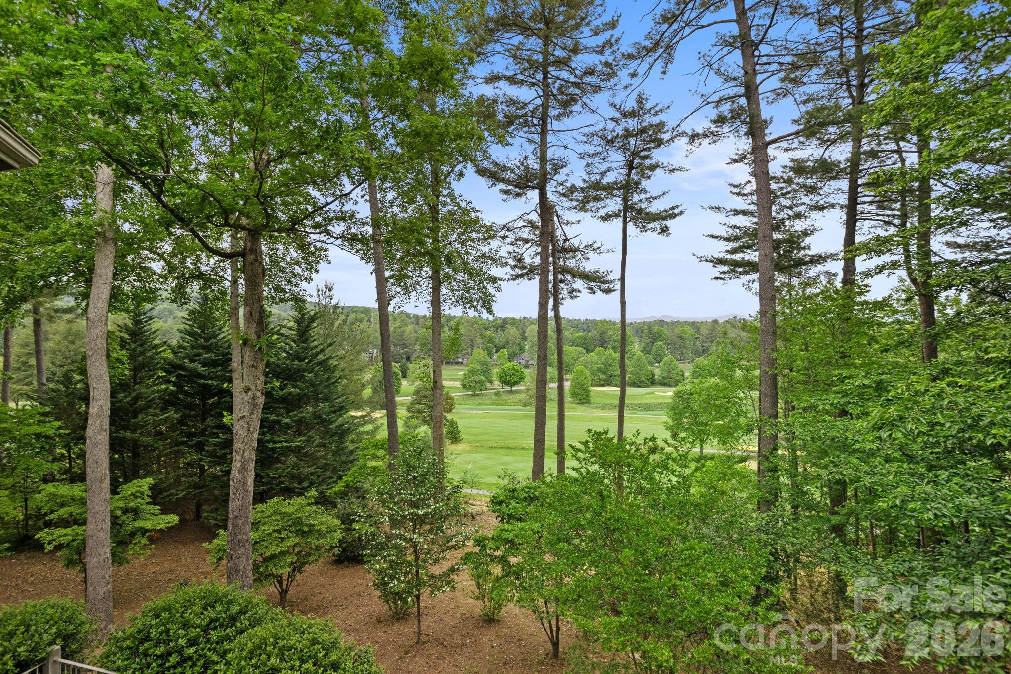 209 Pineholt Lane — Flat Rock