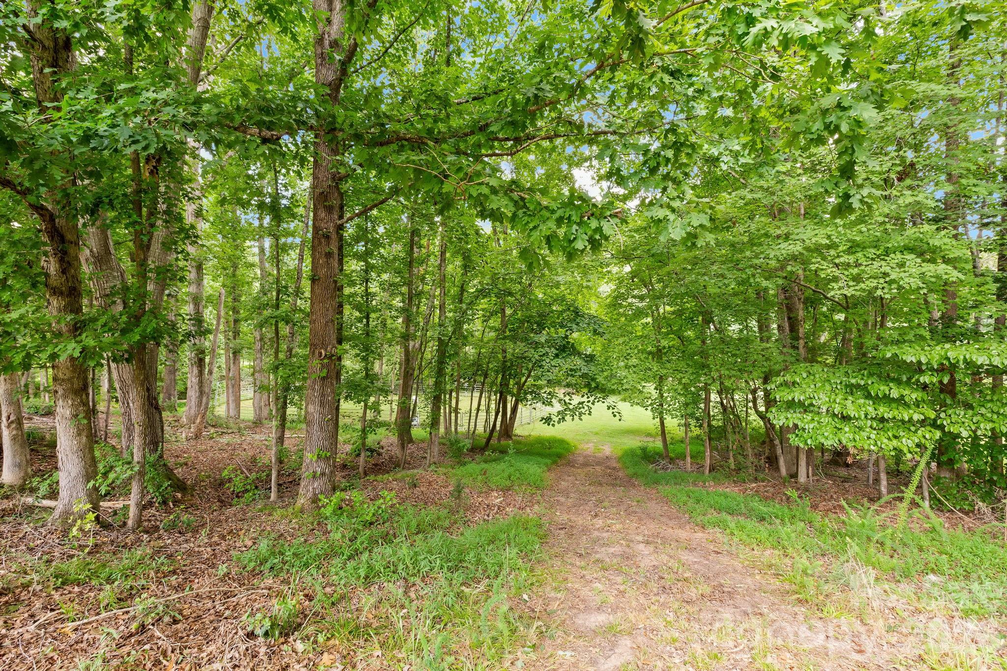 340 Harrison Road — Roebuck