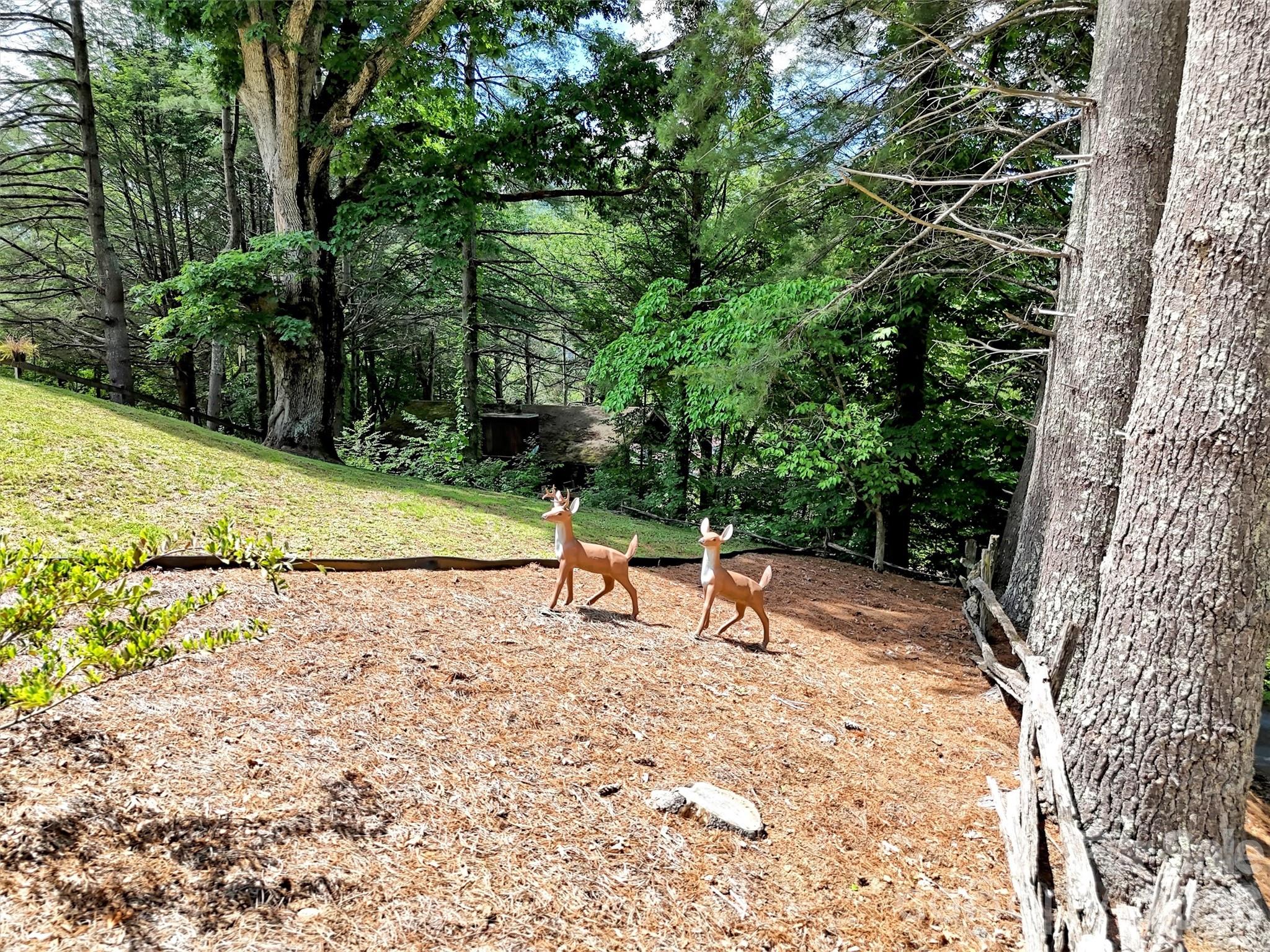 72 Sanctuary Road — Maggie Valley