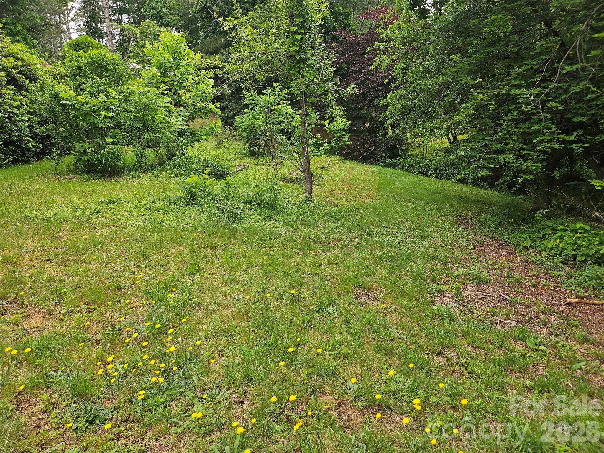 610 Emmas Grove Road — Fletcher