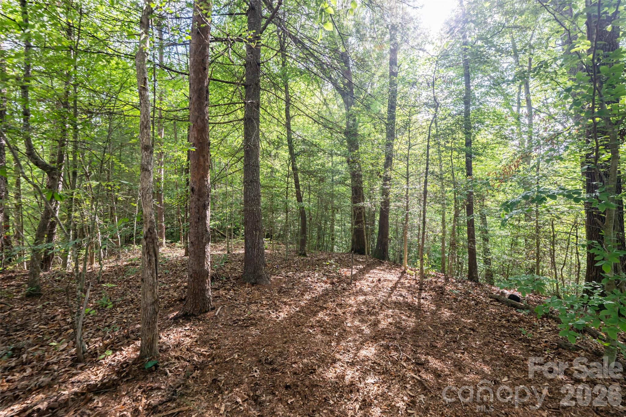 34 Wintercrest Drive — Candler