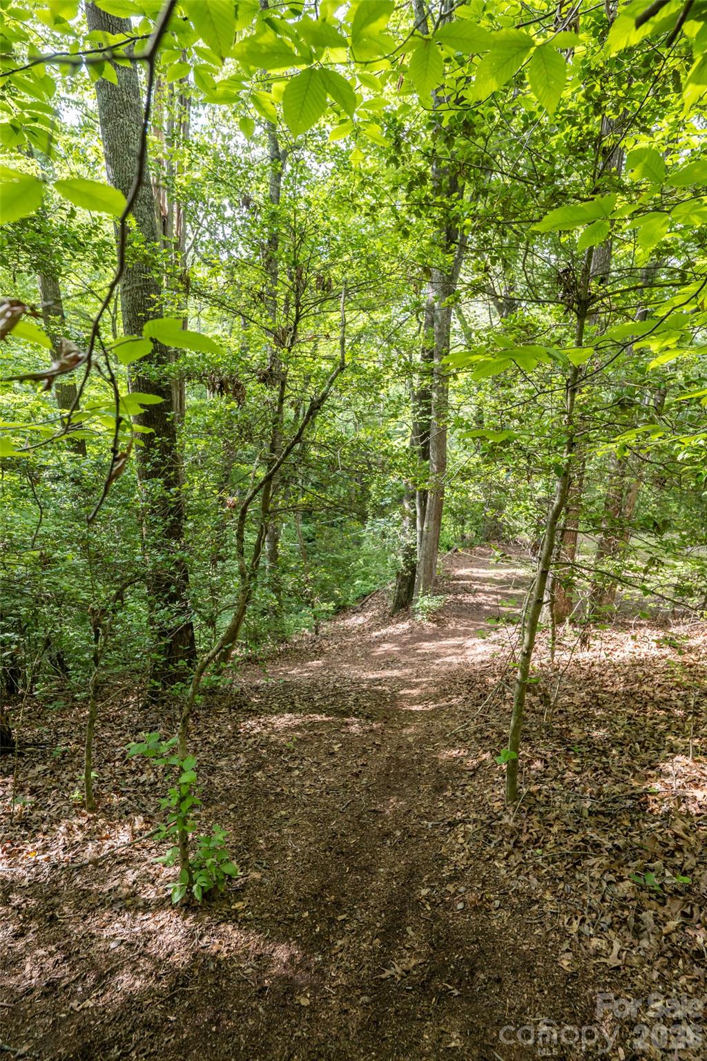 34 Wintercrest Drive — Candler