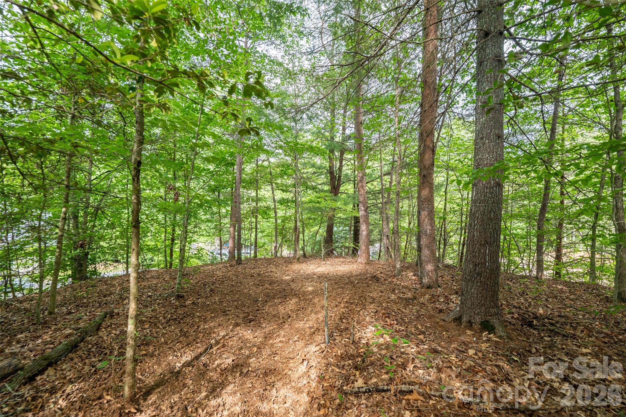 34 Wintercrest Drive — Candler
