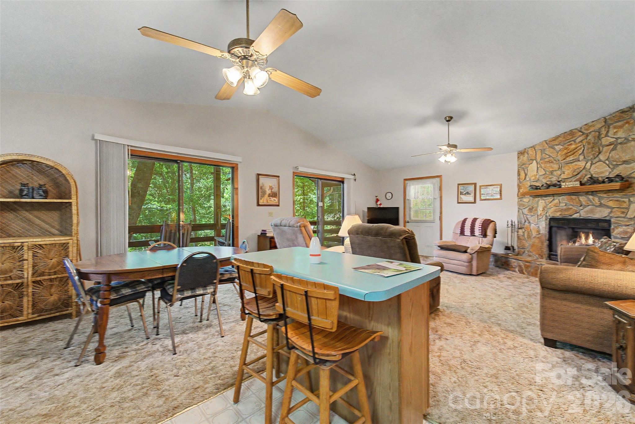 168 Grizzly Ridge — Sylva