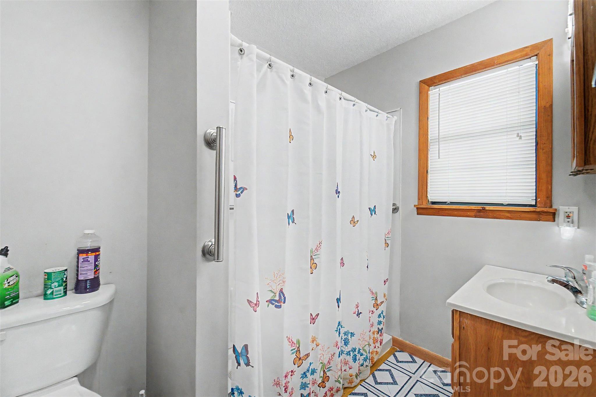 168 Grizzly Ridge — Sylva