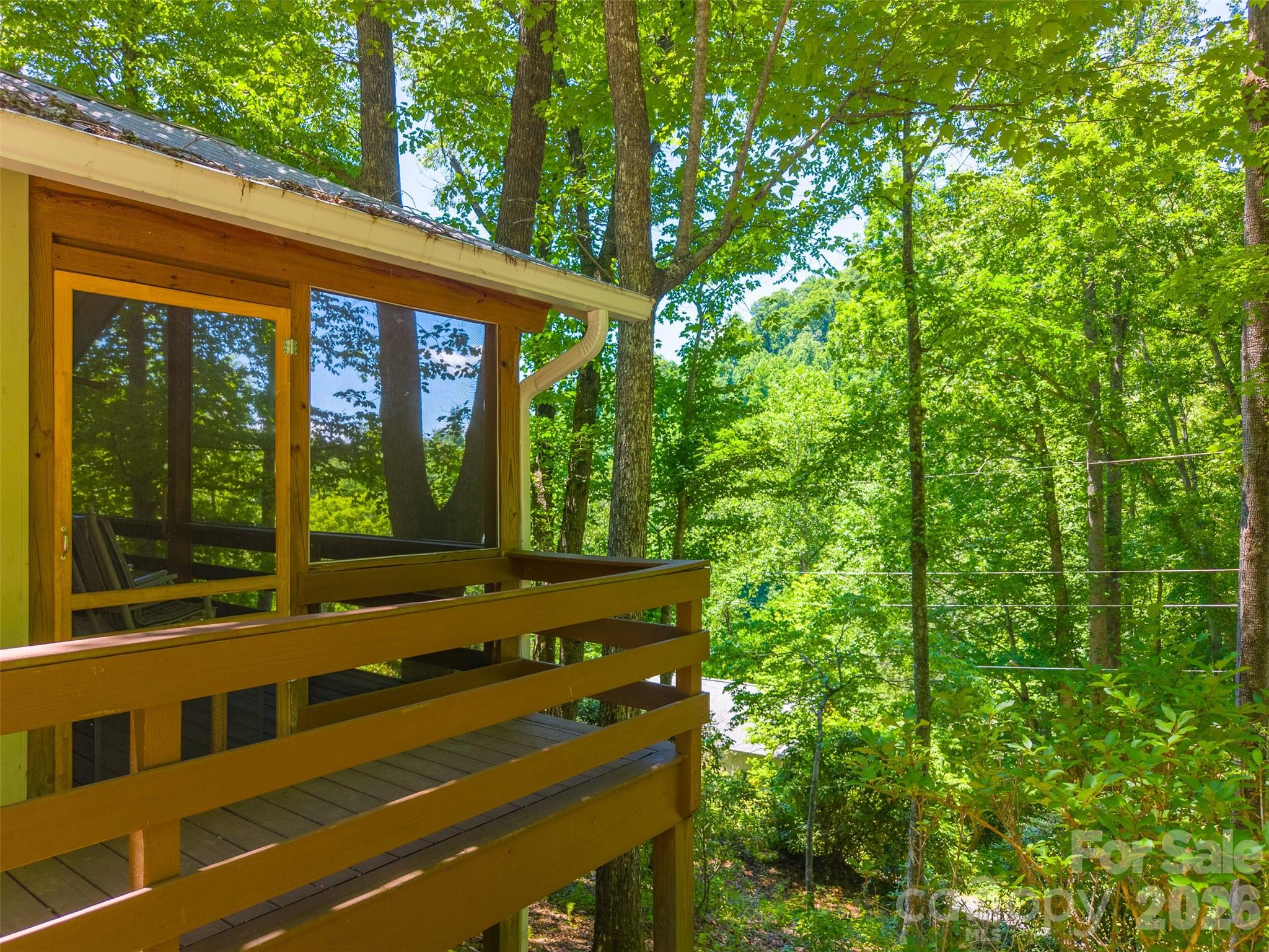 168 Grizzly Ridge — Sylva