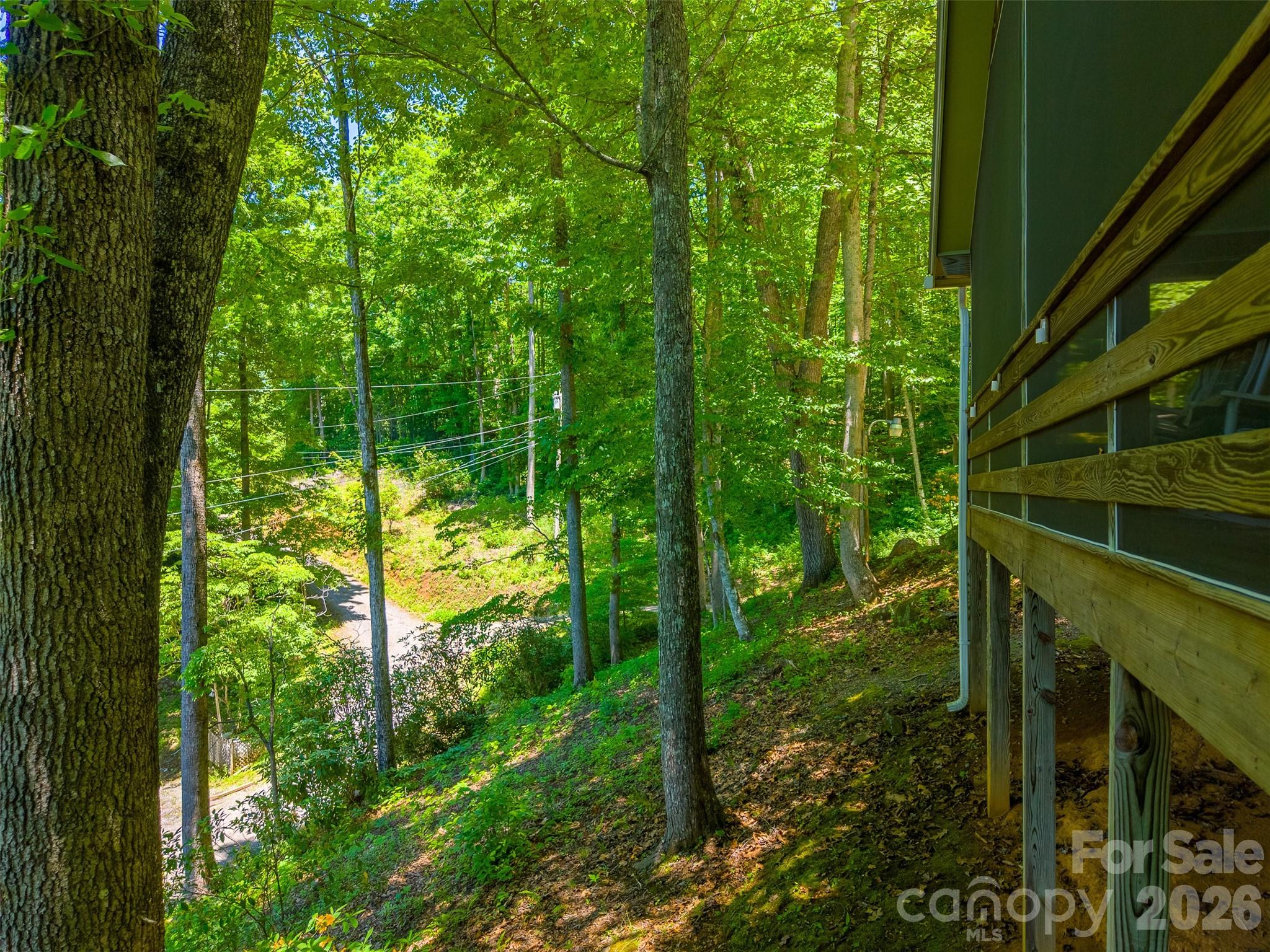 168 Grizzly Ridge — Sylva