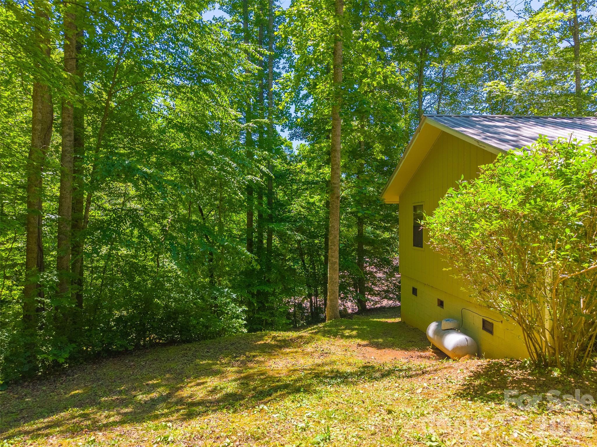 168 Grizzly Ridge — Sylva