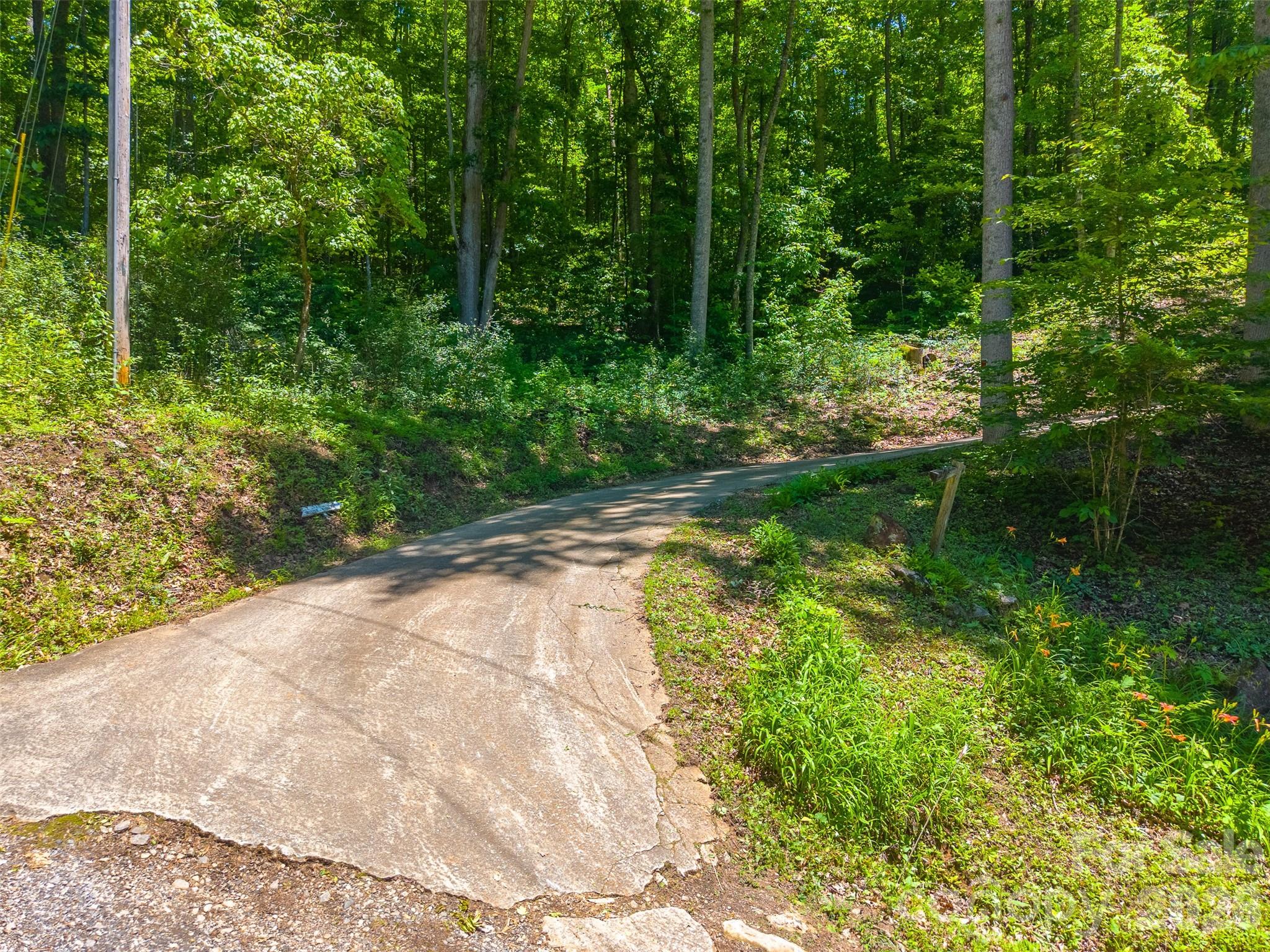 168 Grizzly Ridge — Sylva