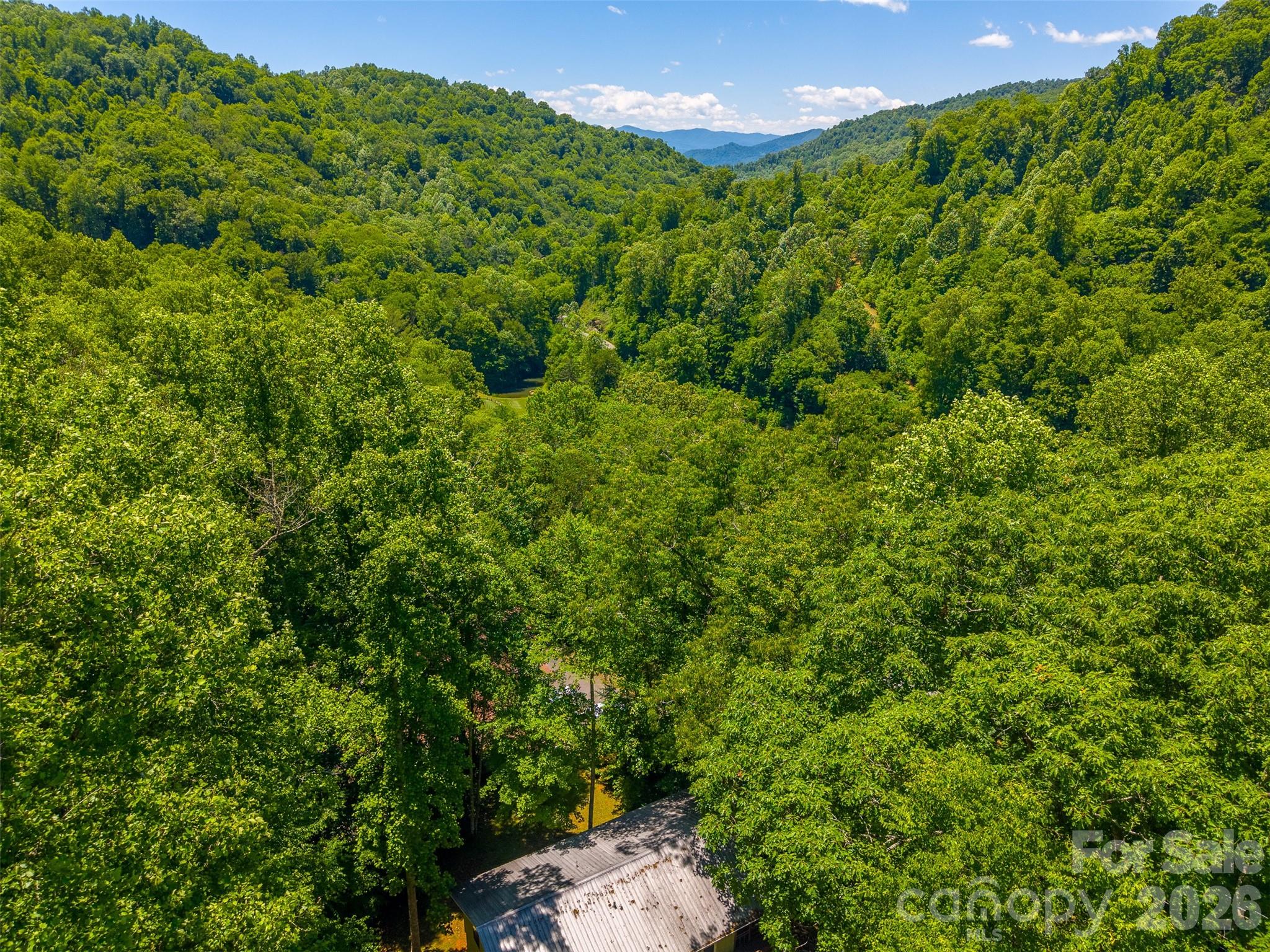 168 Grizzly Ridge — Sylva