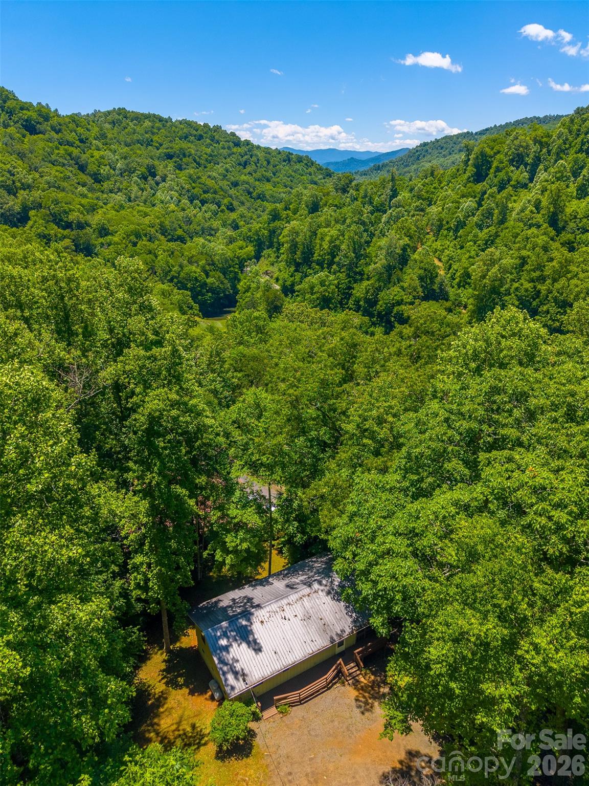 168 Grizzly Ridge — Sylva