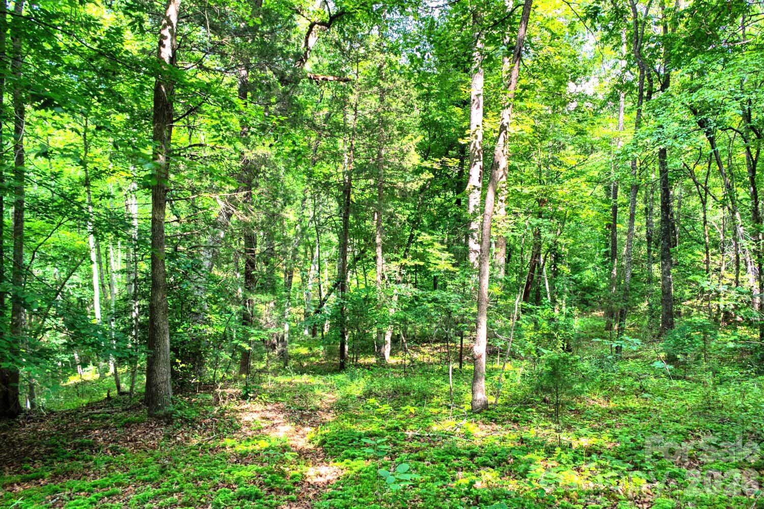 749 Hearthstone Drive — Union Mills