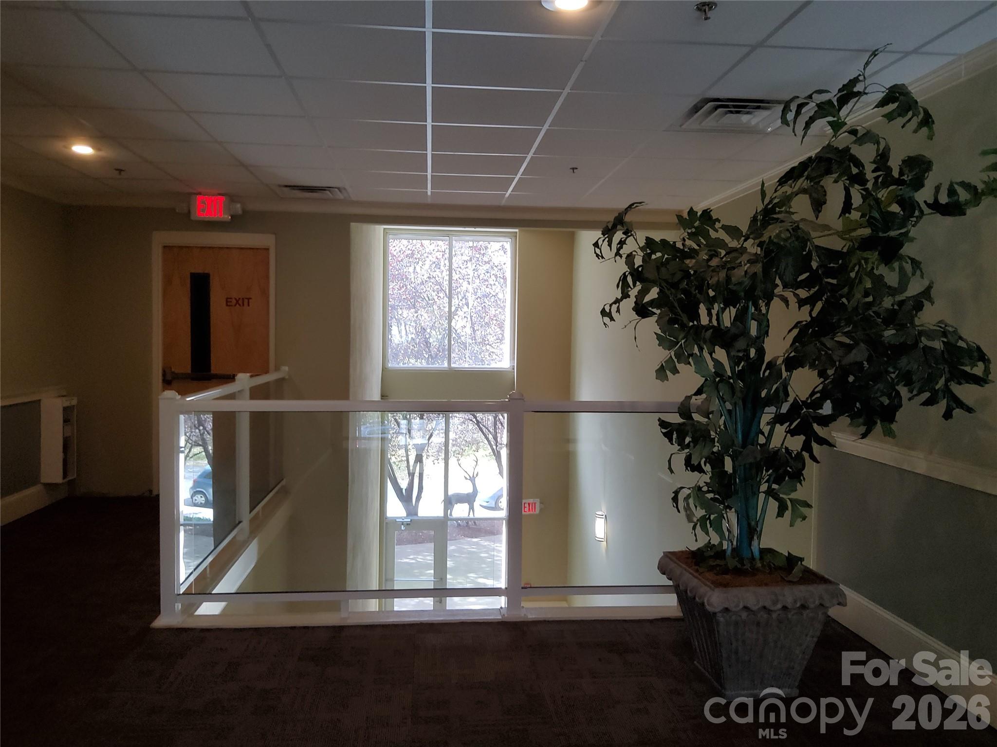 155 S Lexington Avenue #203 — Asheville