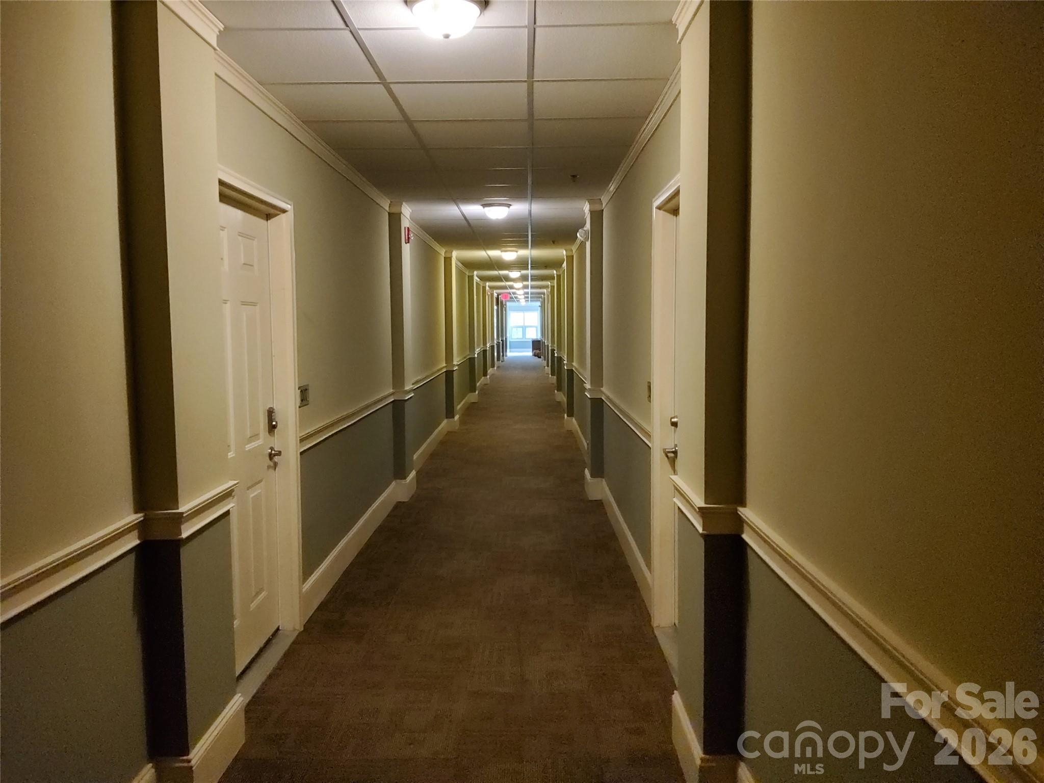 155 S Lexington Avenue #203 — Asheville