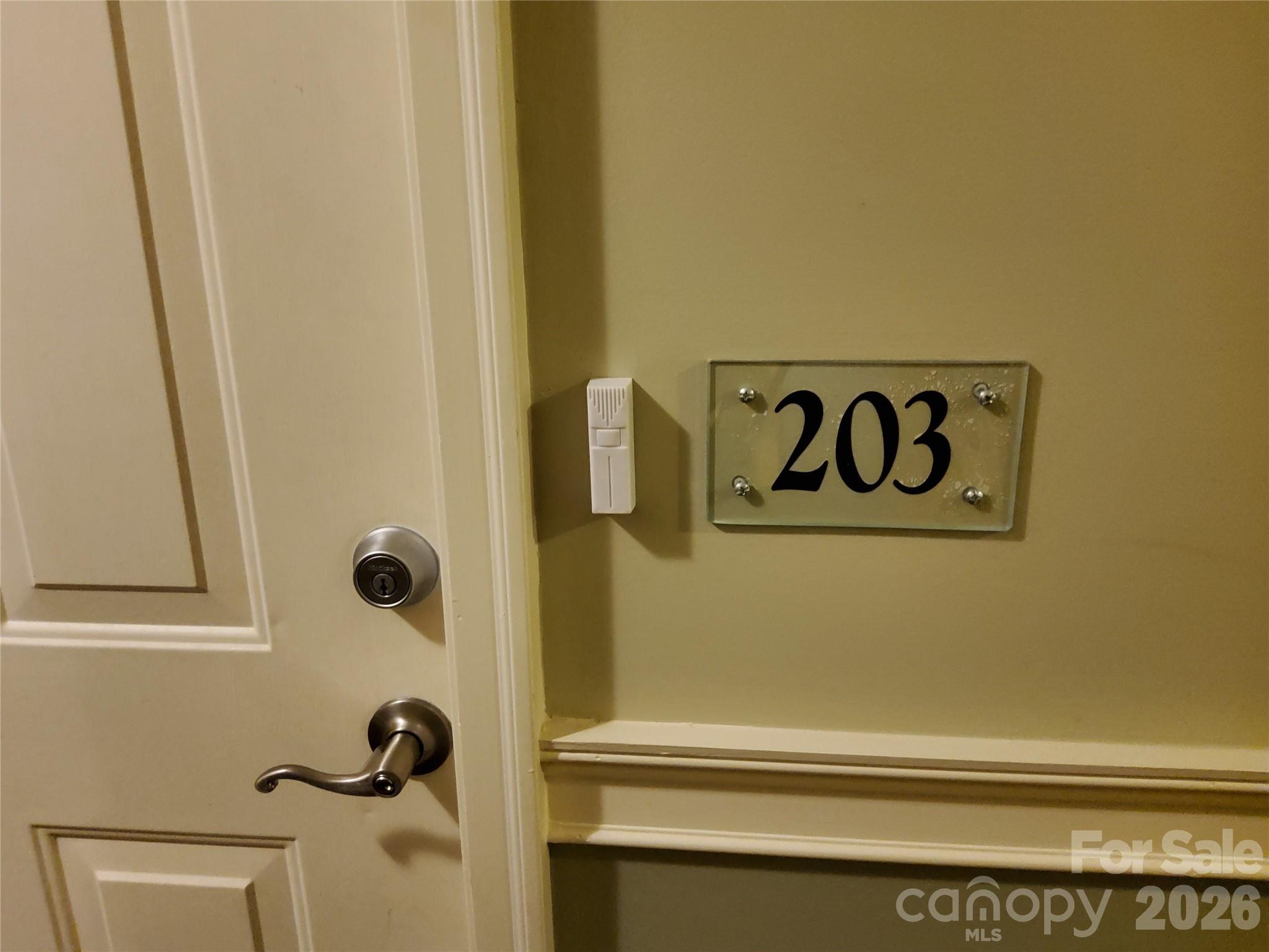 155 S Lexington Avenue #203 — Asheville
