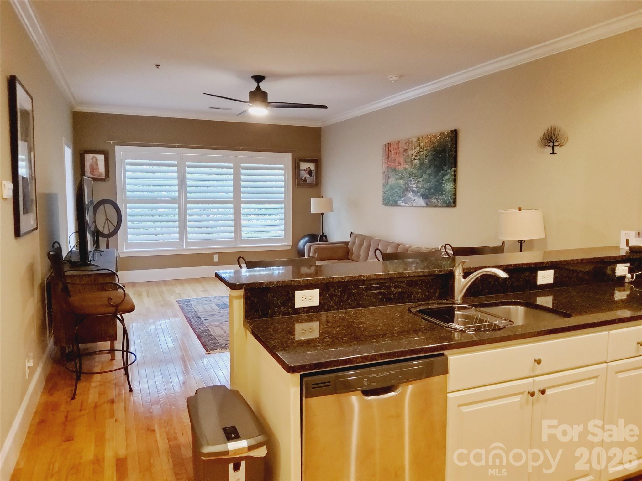 155 S Lexington Avenue #203 — Asheville
