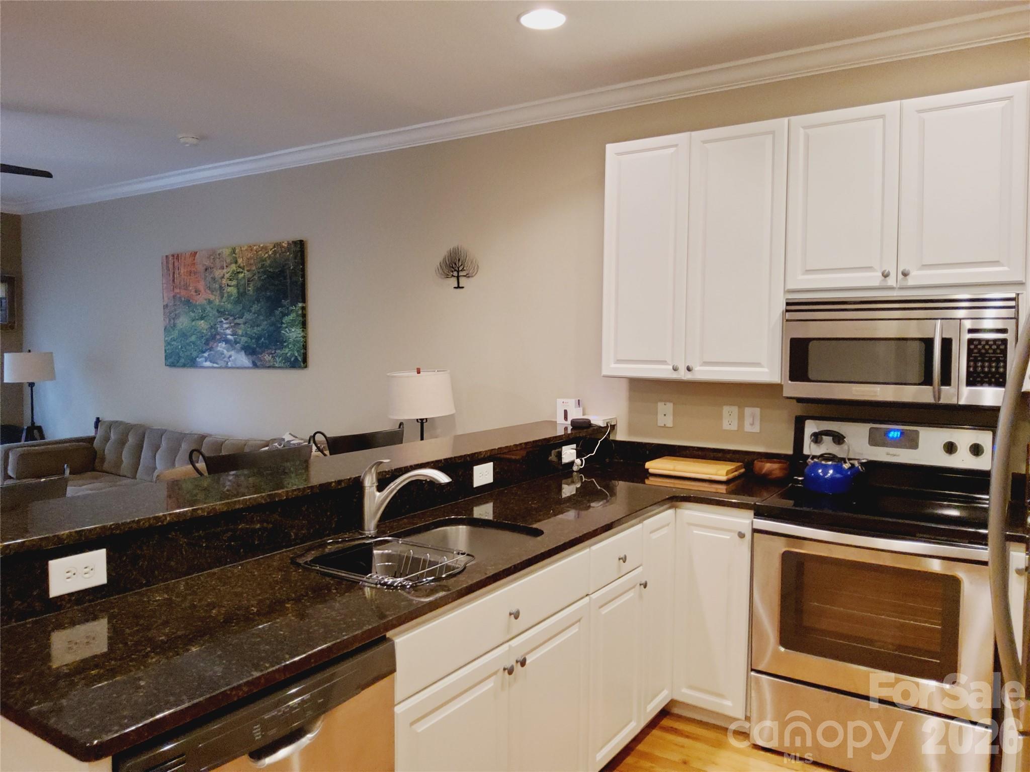 155 S Lexington Avenue #203 — Asheville