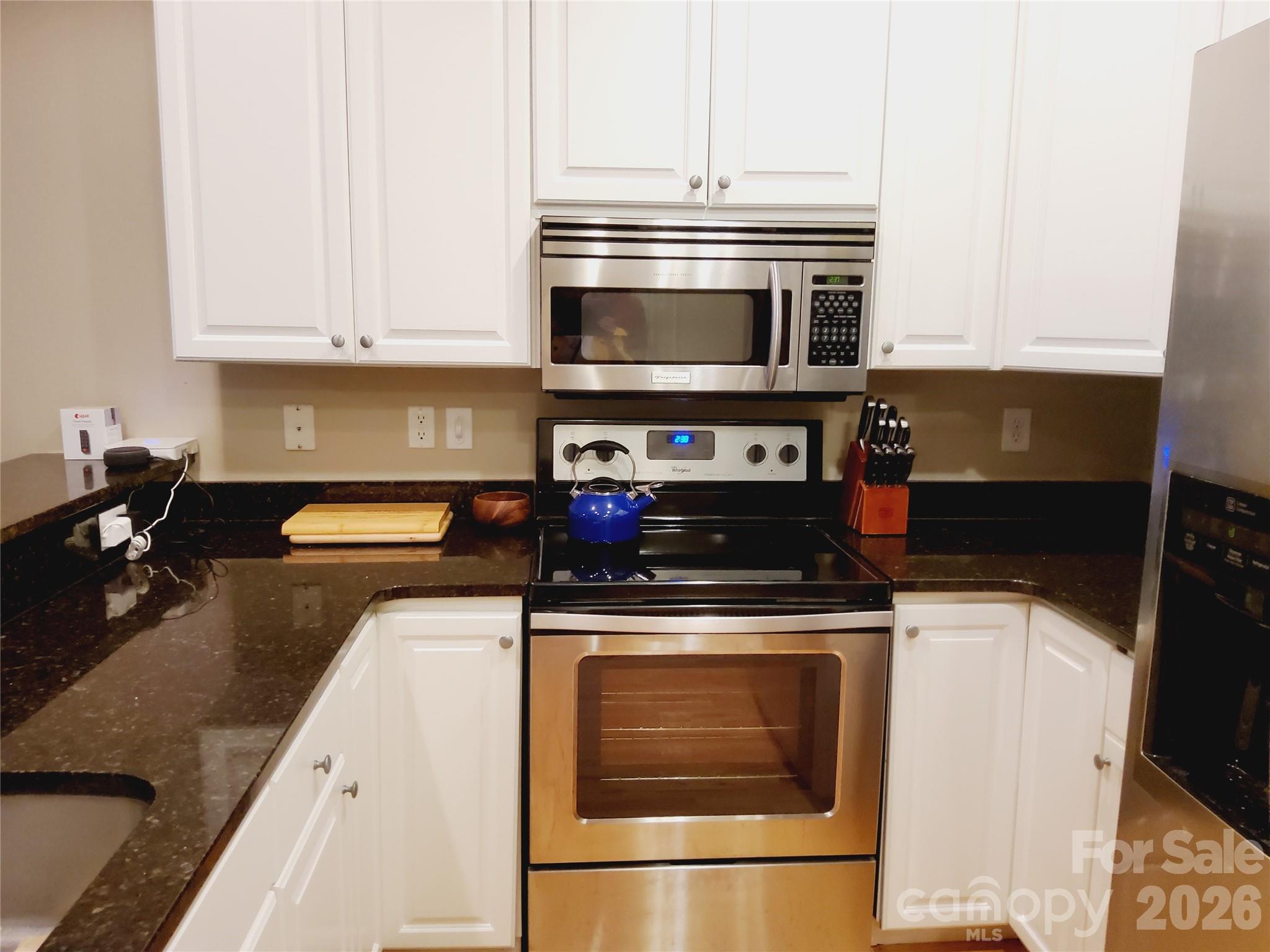 155 S Lexington Avenue #203 — Asheville