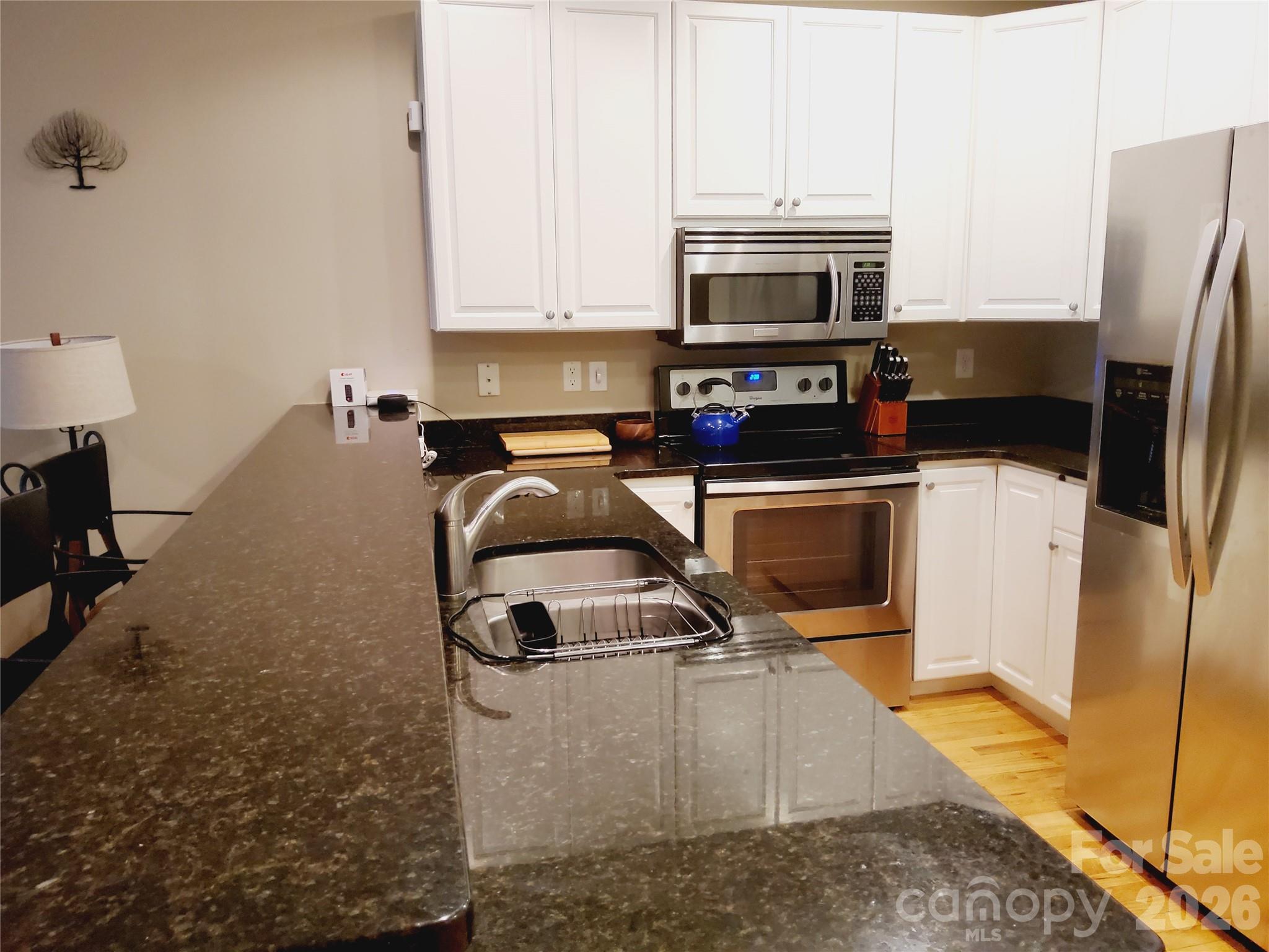 155 S Lexington Avenue #203 — Asheville