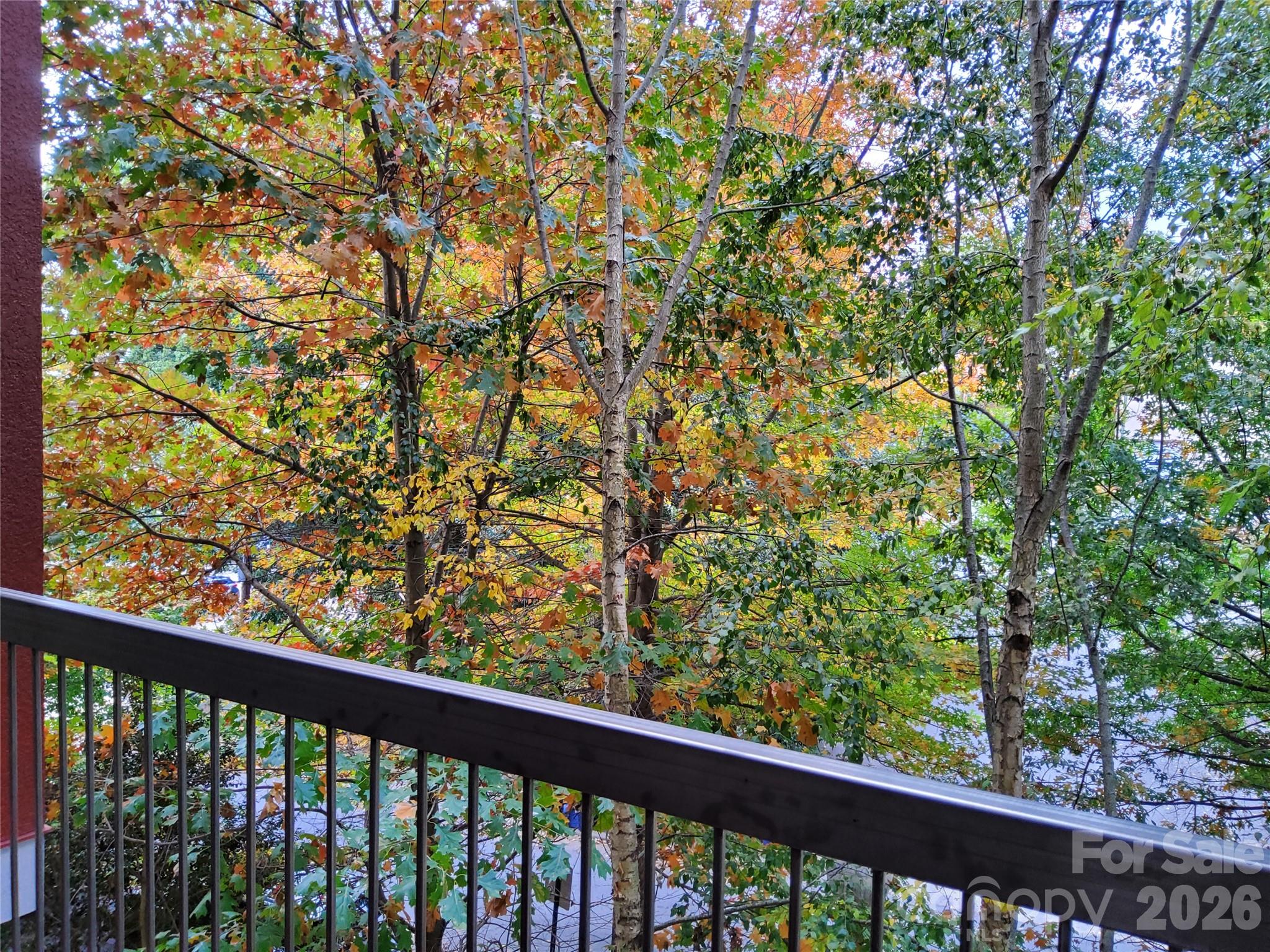 155 S Lexington Avenue #203 — Asheville