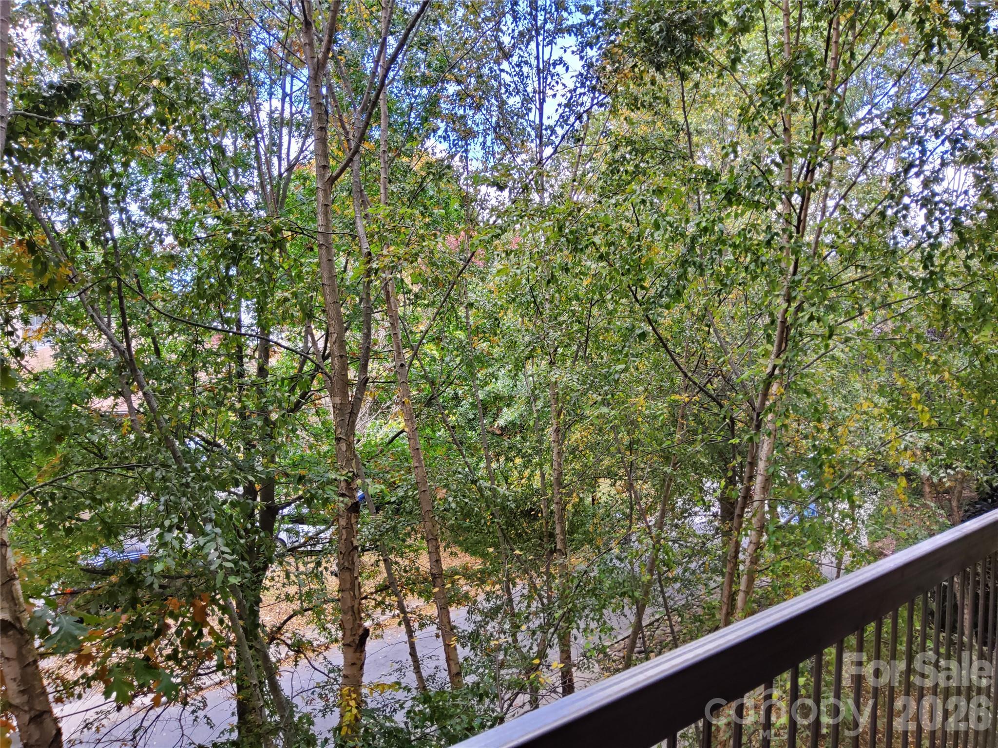 155 S Lexington Avenue #203 — Asheville