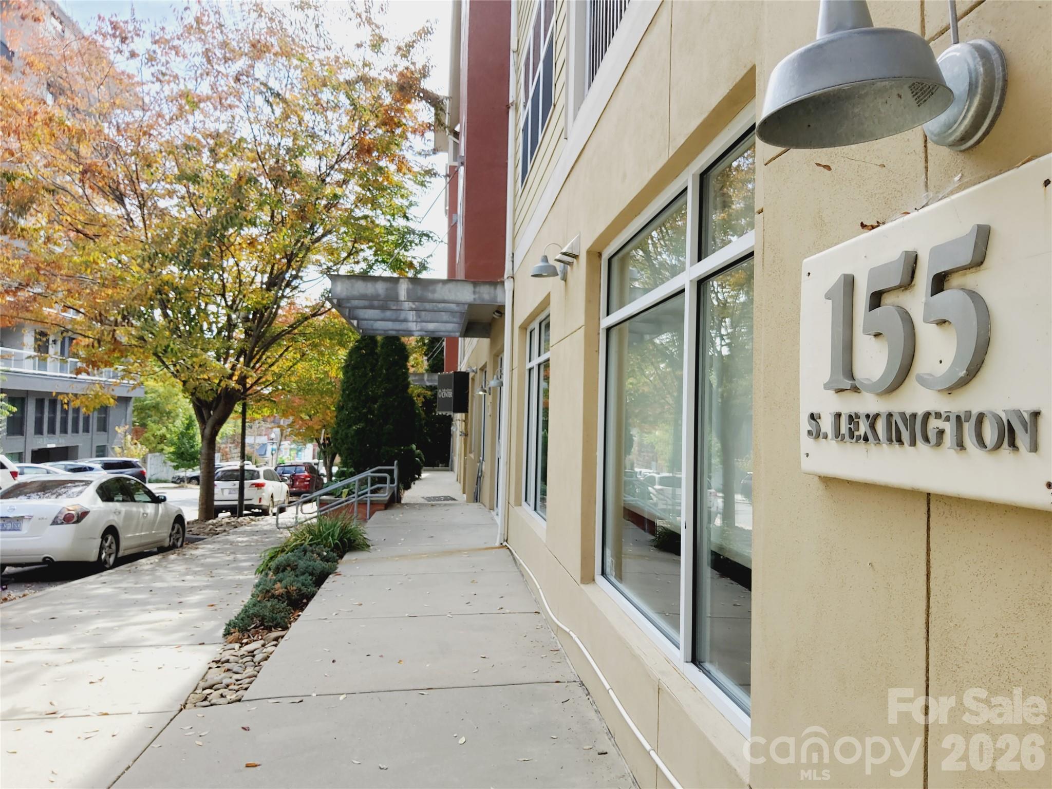 155 S Lexington Avenue #203 — Asheville