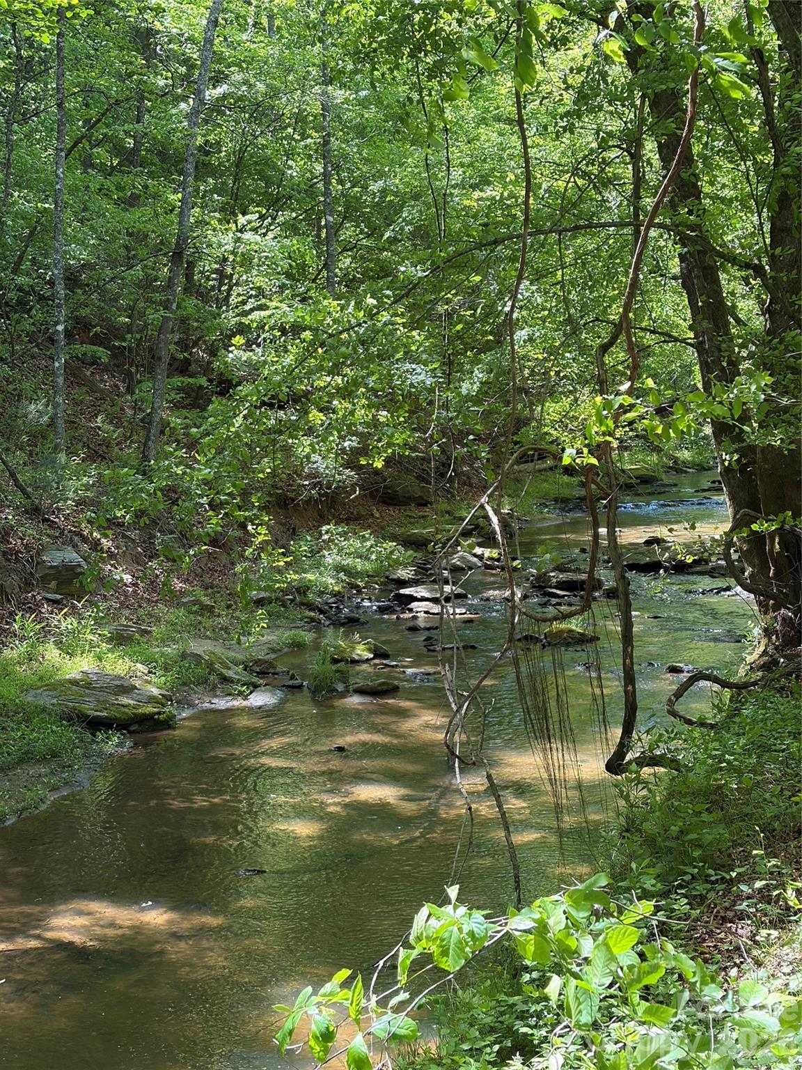 8186 Old Nc Highway 60 None — Roaring River