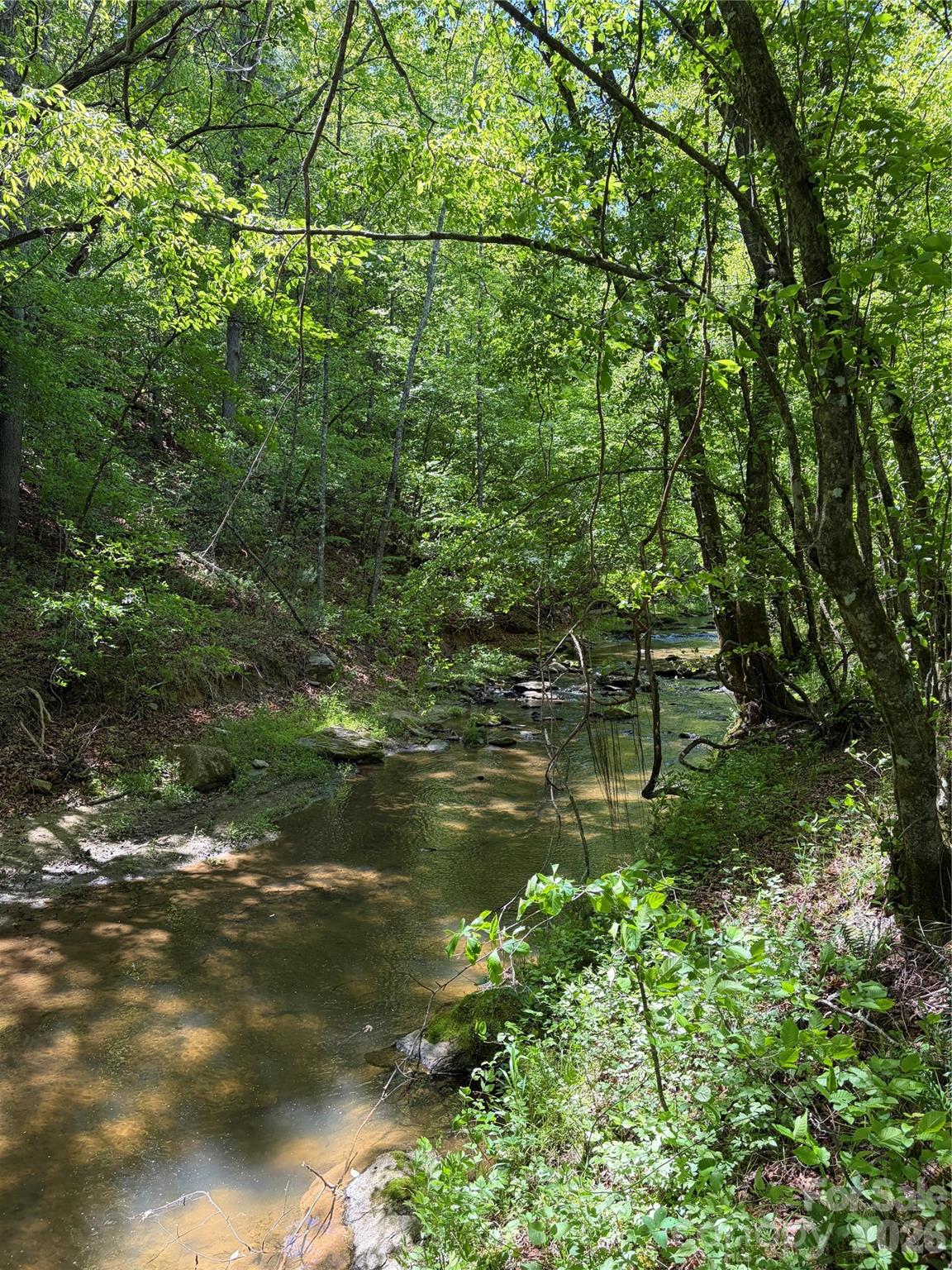 8186 Old Nc Highway 60 None — Roaring River