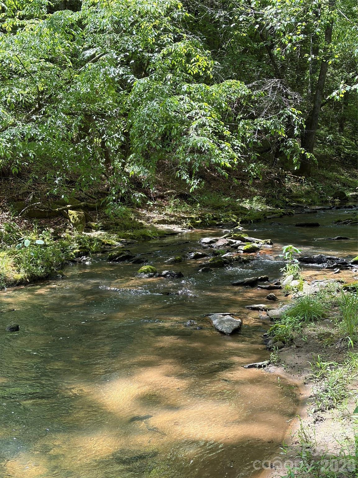 8186 Old Nc Highway 60 None — Roaring River