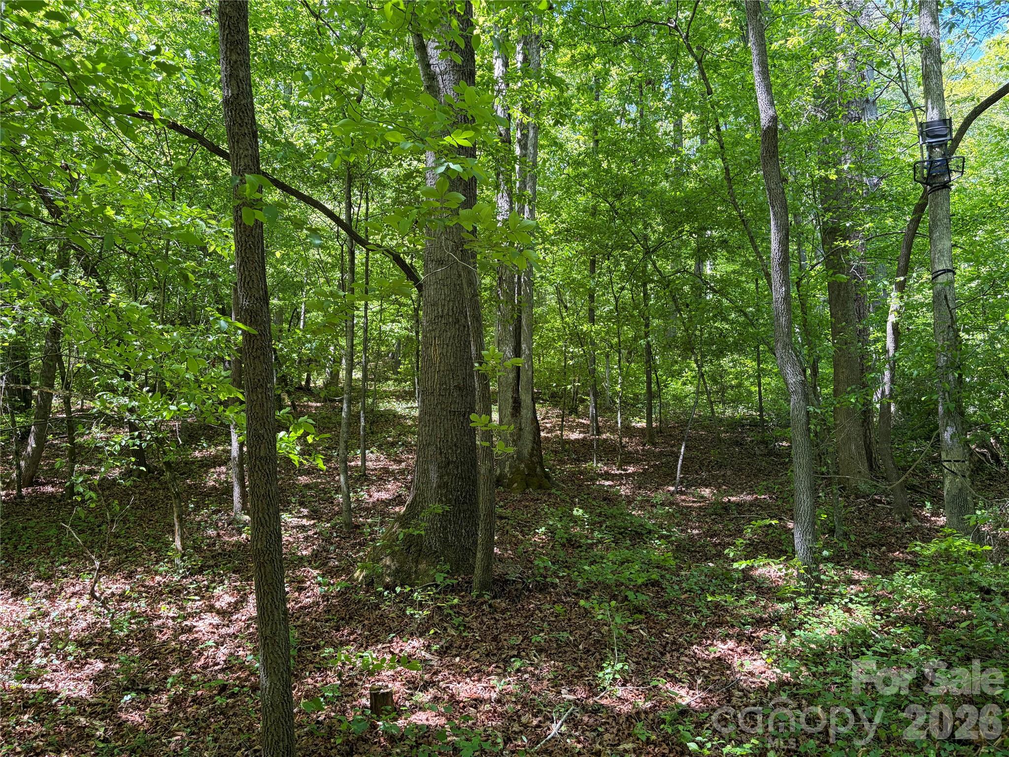 8186 Old Nc Highway 60 None — Roaring River