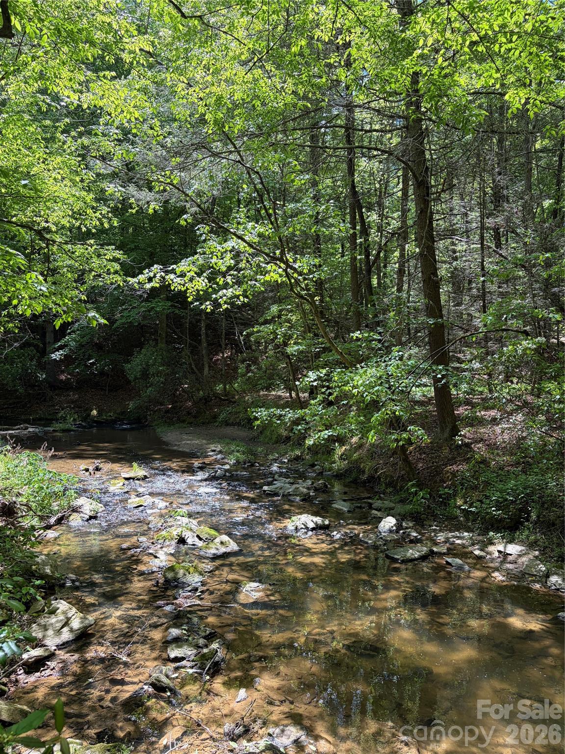8186 Old Nc Highway 60 None — Roaring River