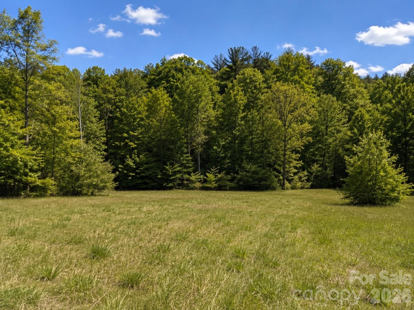 8186 Old Nc Highway 60 None — Roaring River