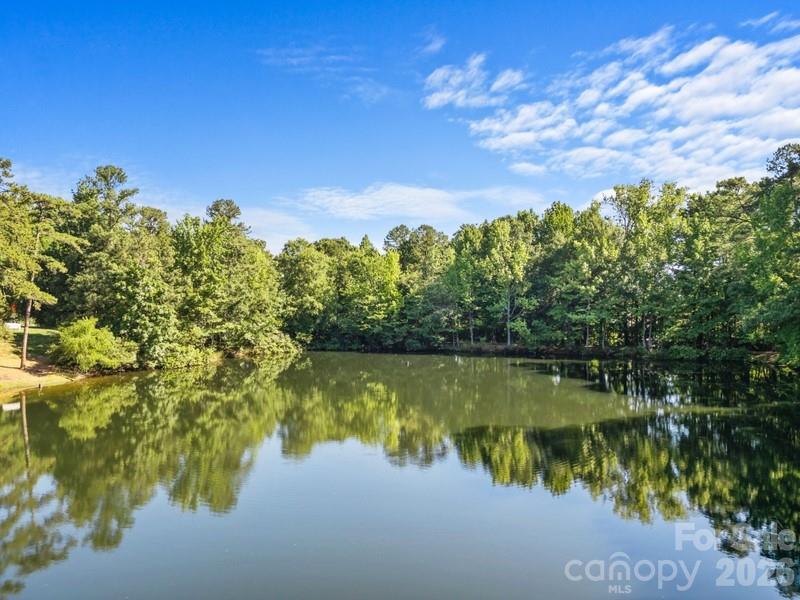 132 Rose Tree Lane — Fort Mill