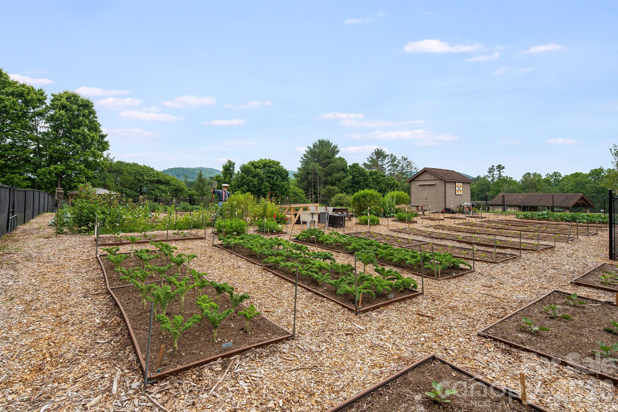1851 Riverview Court — Hendersonville