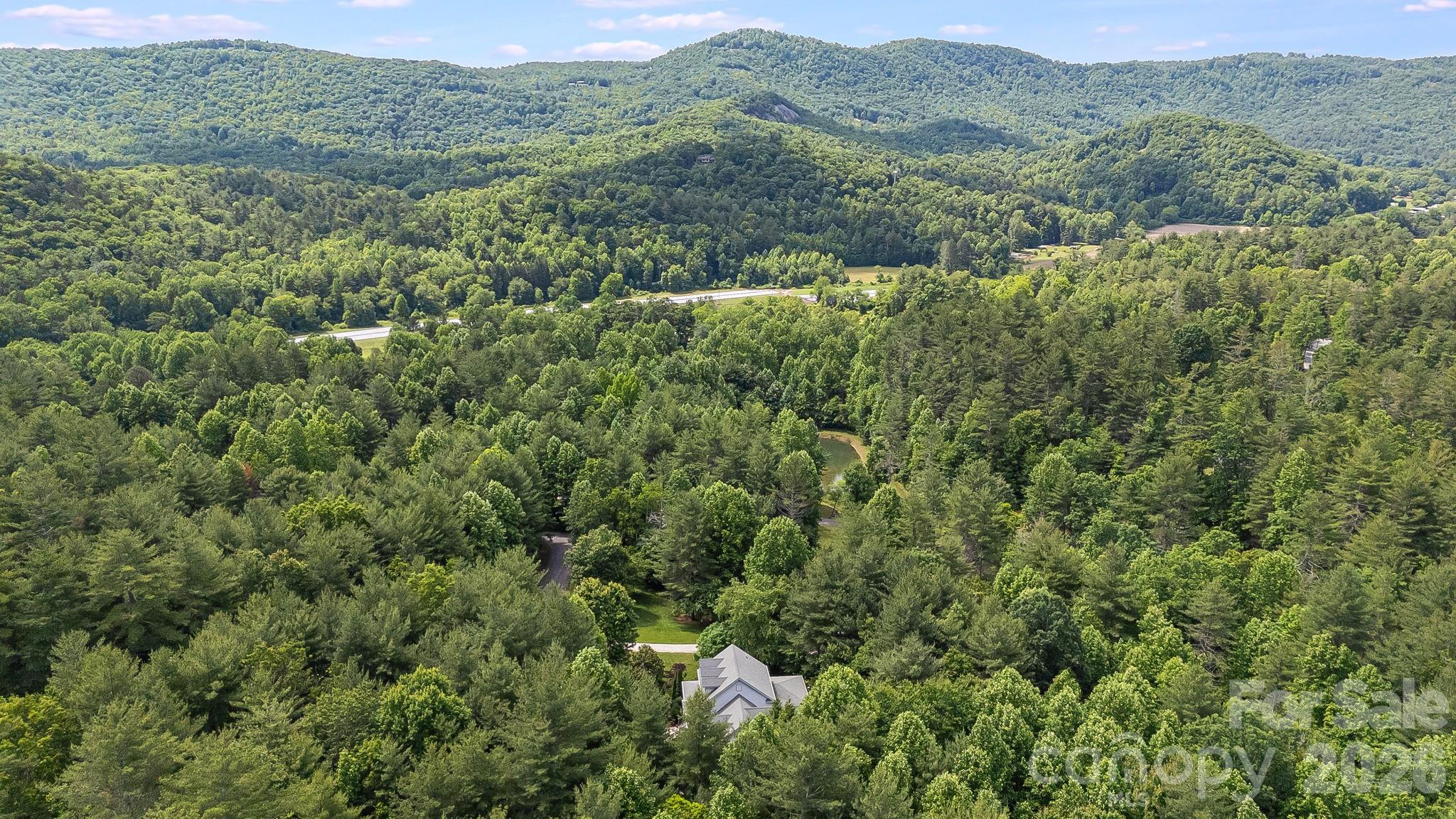335 Daylily Drive — Hendersonville