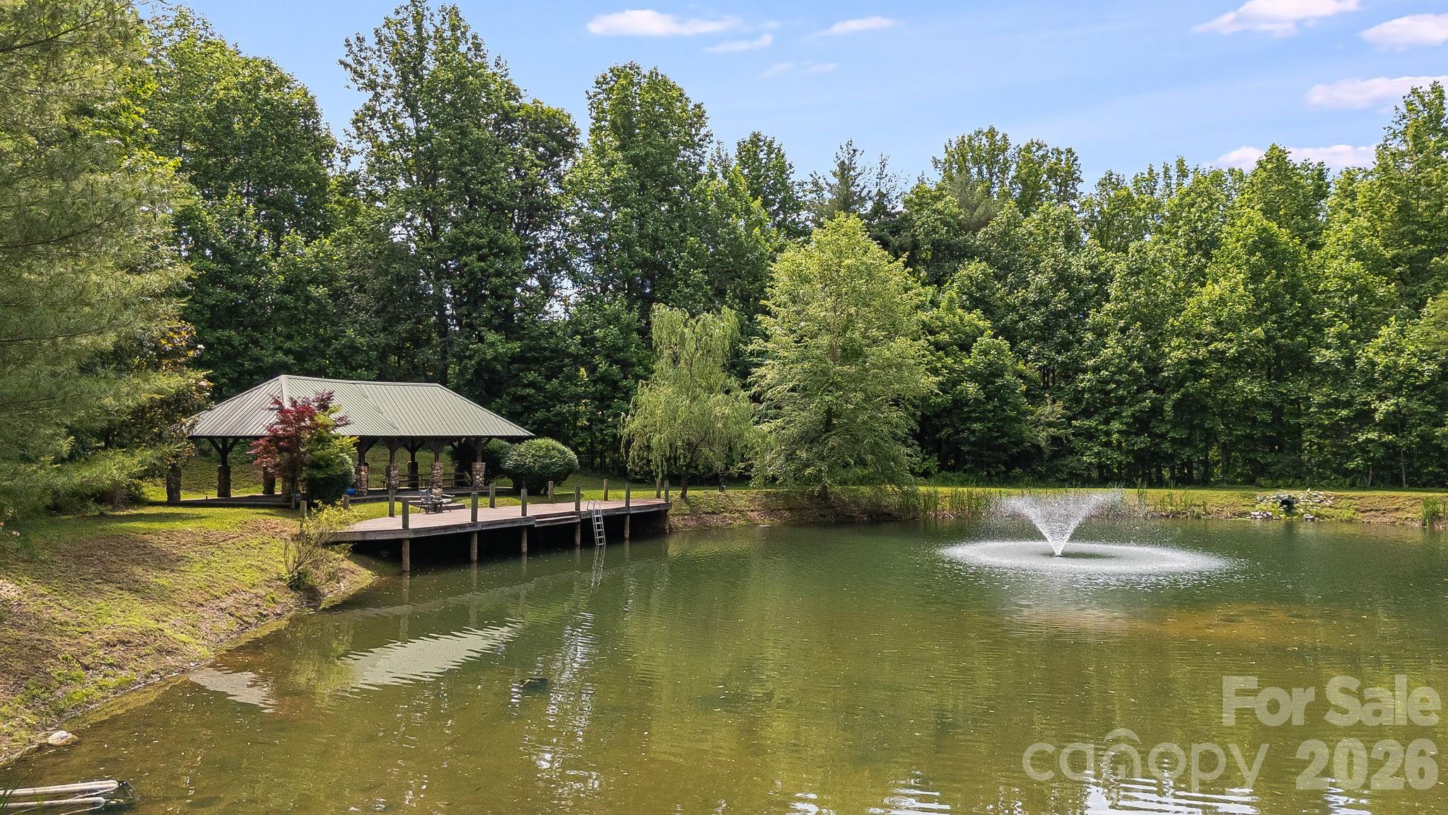 335 Daylily Drive — Hendersonville