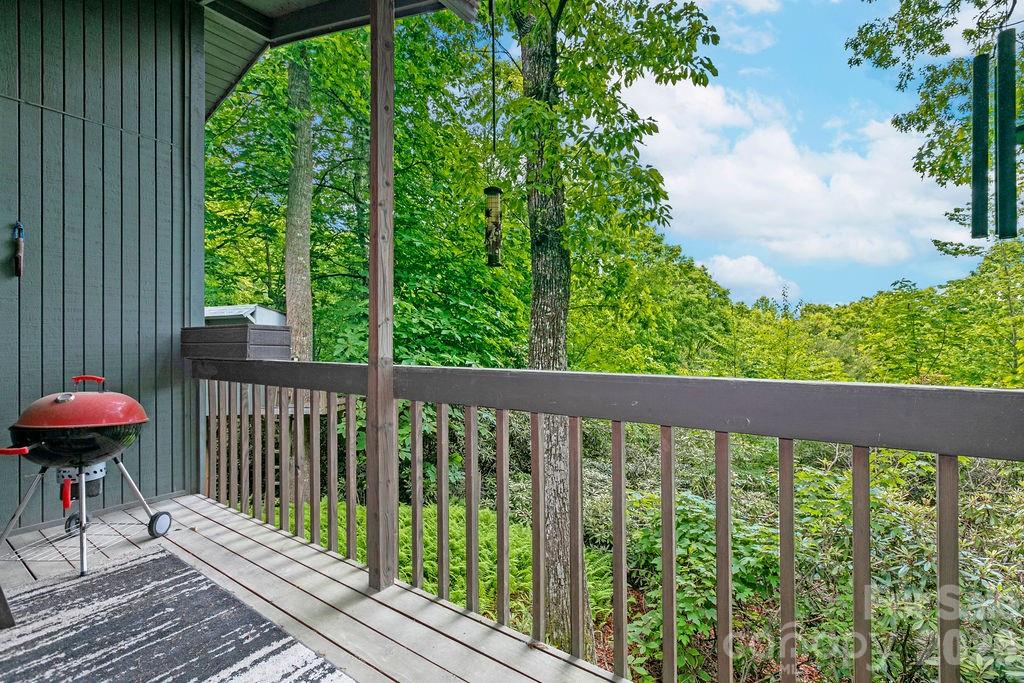 118 Little Bear Lane — Pisgah Forest
