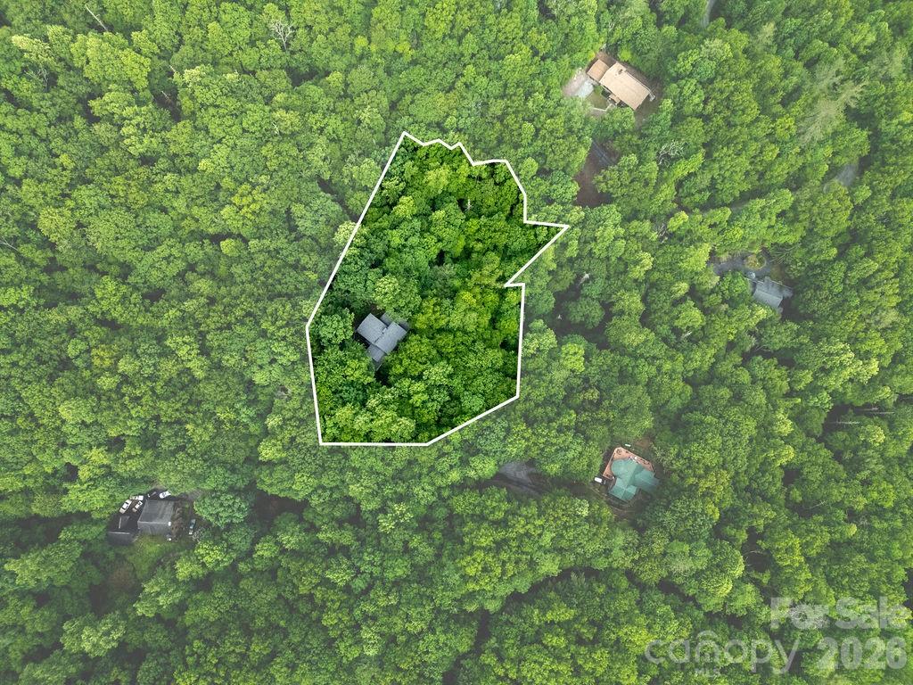 118 Little Bear Lane — Pisgah Forest