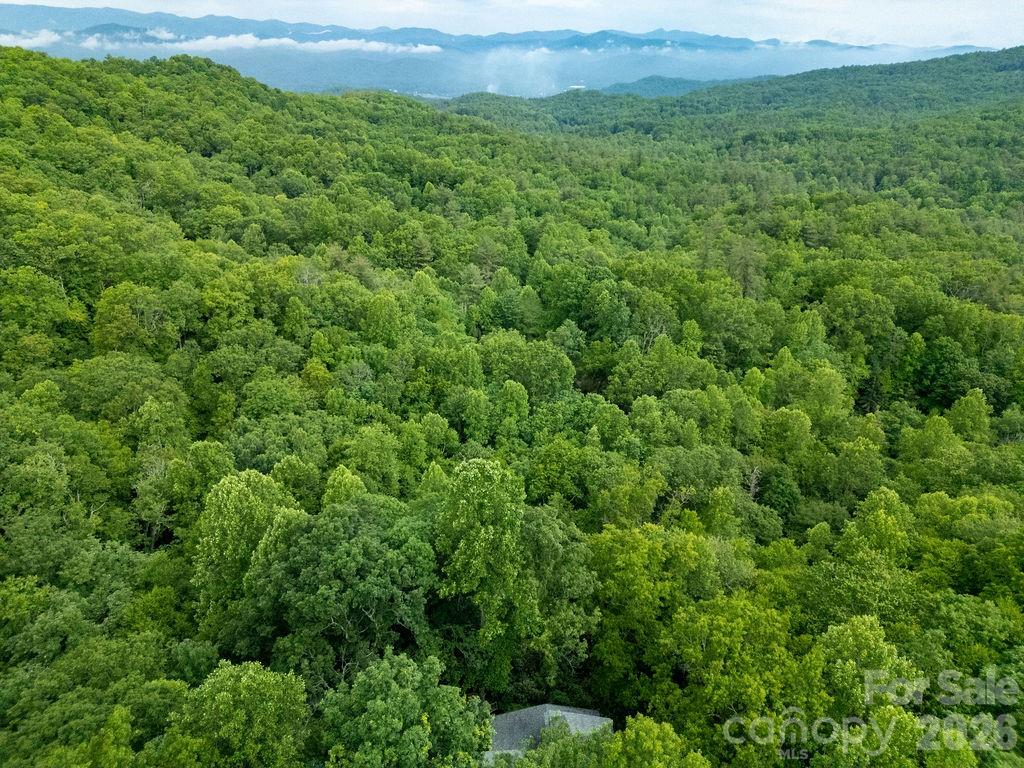 118 Little Bear Lane — Pisgah Forest