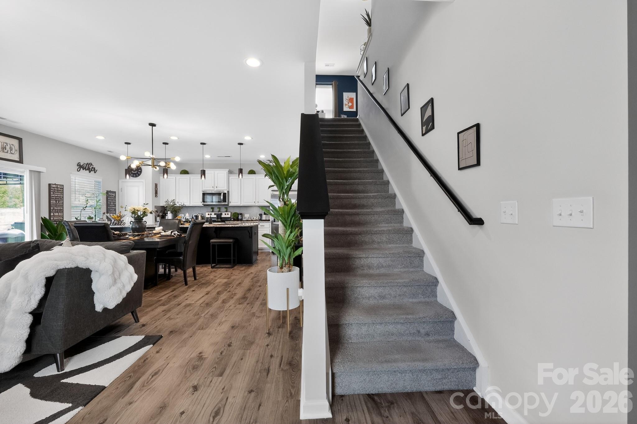 1101 Freeman View Drive — Albemarle