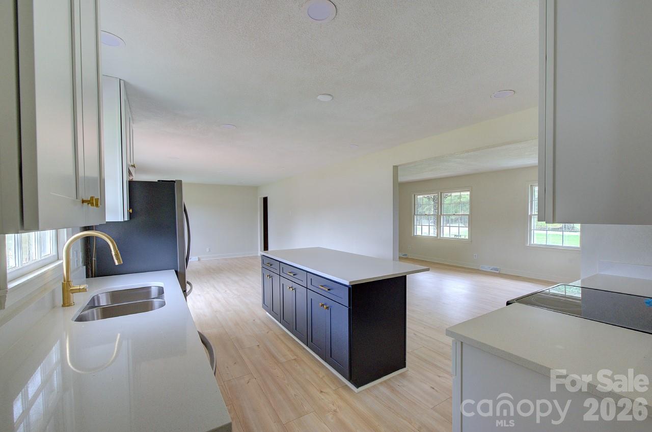 1195 Holly Springs Road — Lyman