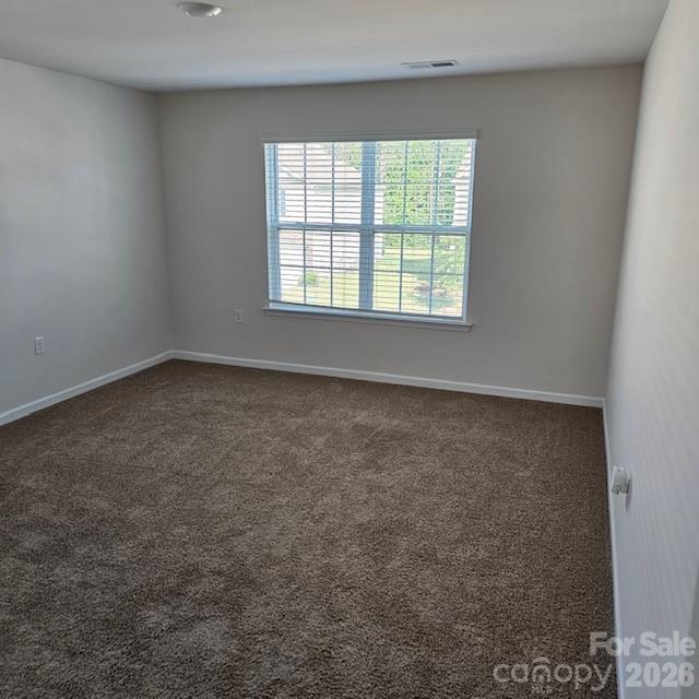 534 Yellow Birch Drive — Locust