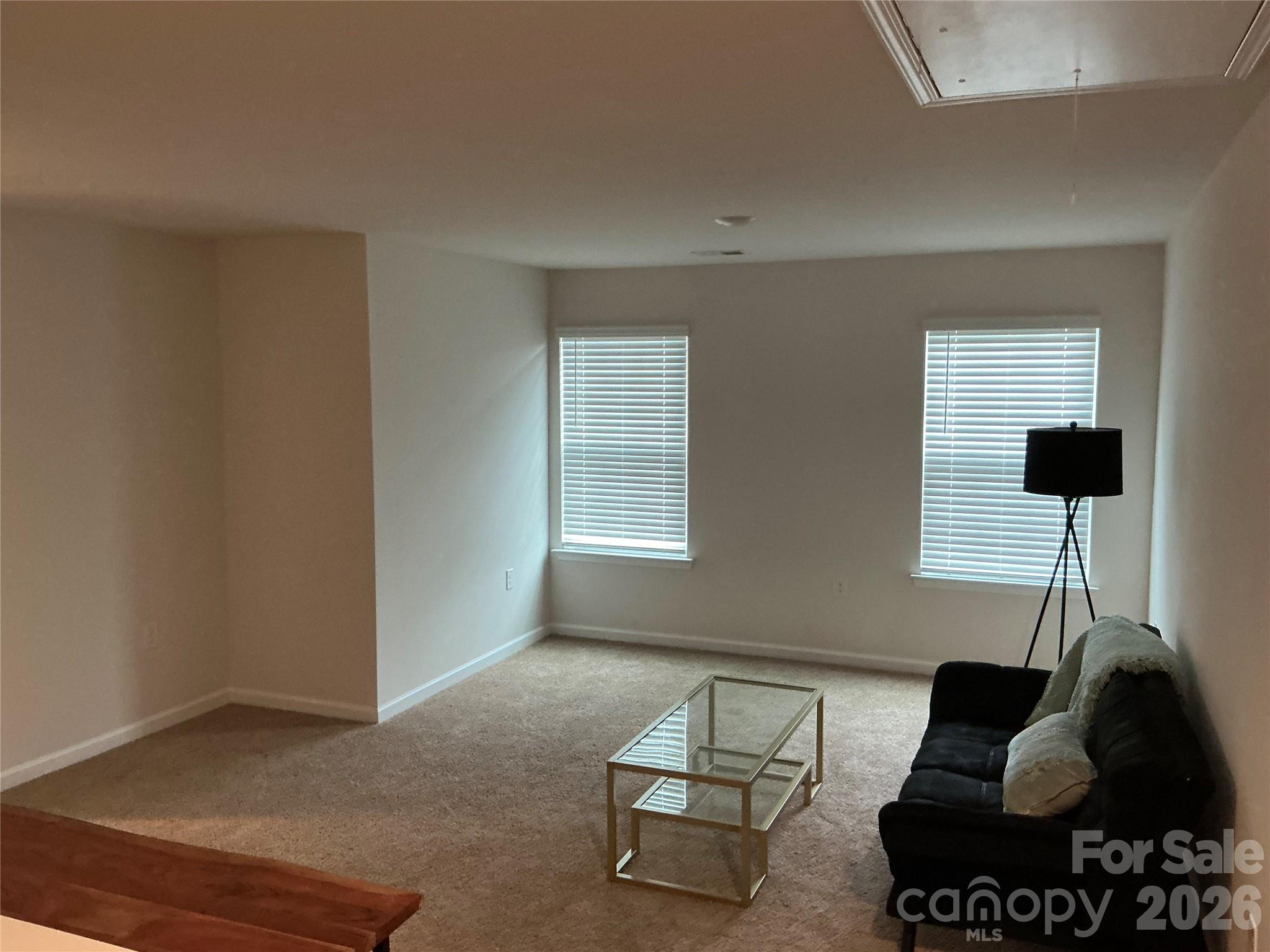 534 Yellow Birch Drive — Locust