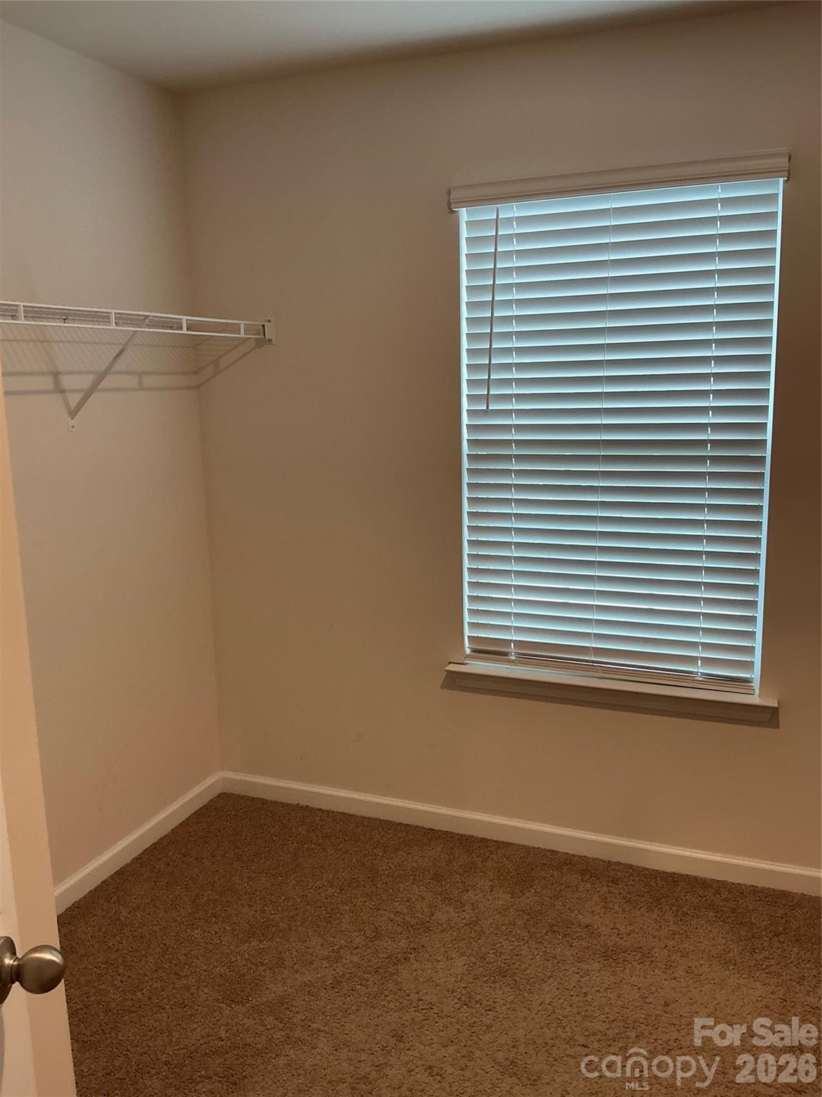 534 Yellow Birch Drive — Locust