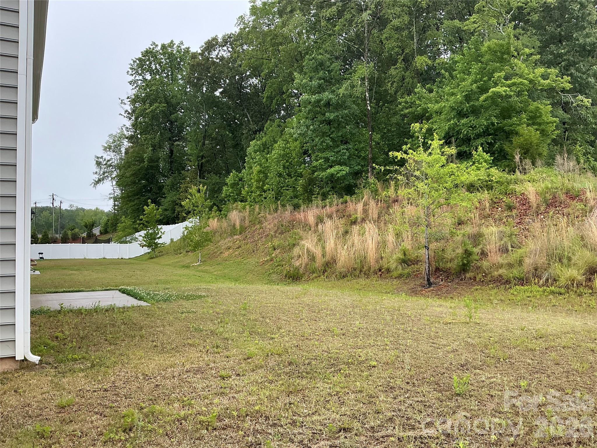 534 Yellow Birch Drive — Locust