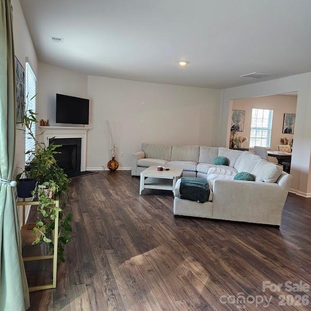 534 Yellow Birch Drive — Locust