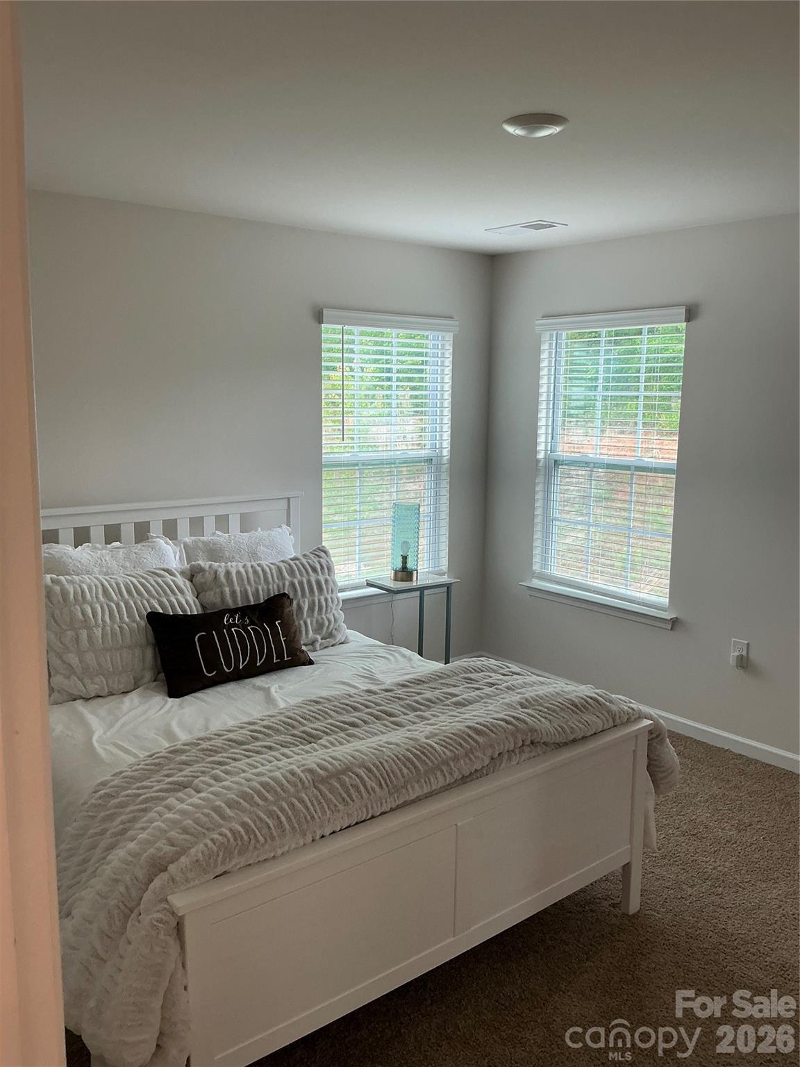 534 Yellow Birch Drive — Locust