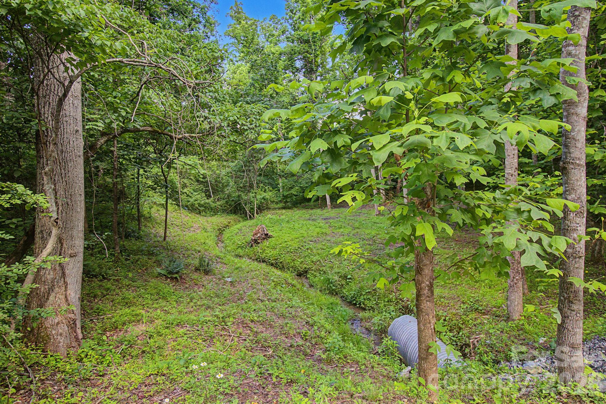 175 Pine Cove Lane — Alexander